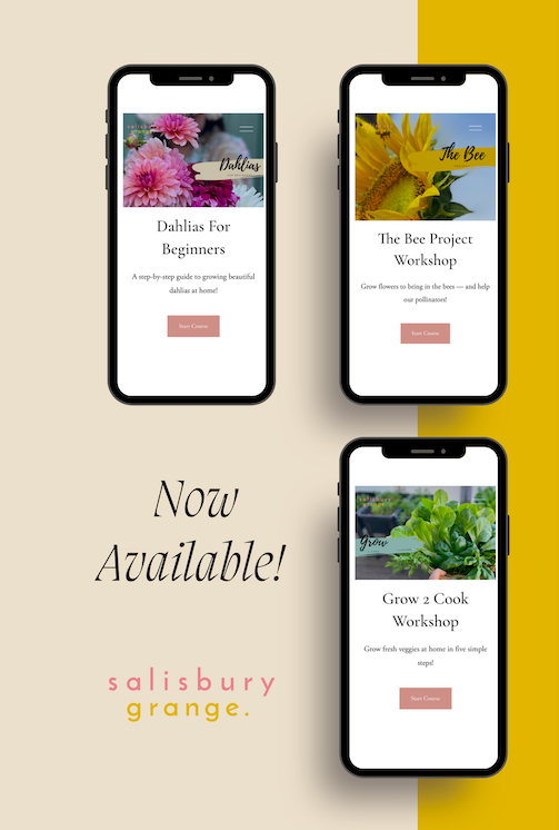 FREE! 2024 Brisbane Planting Calendar — Salisbury Grange