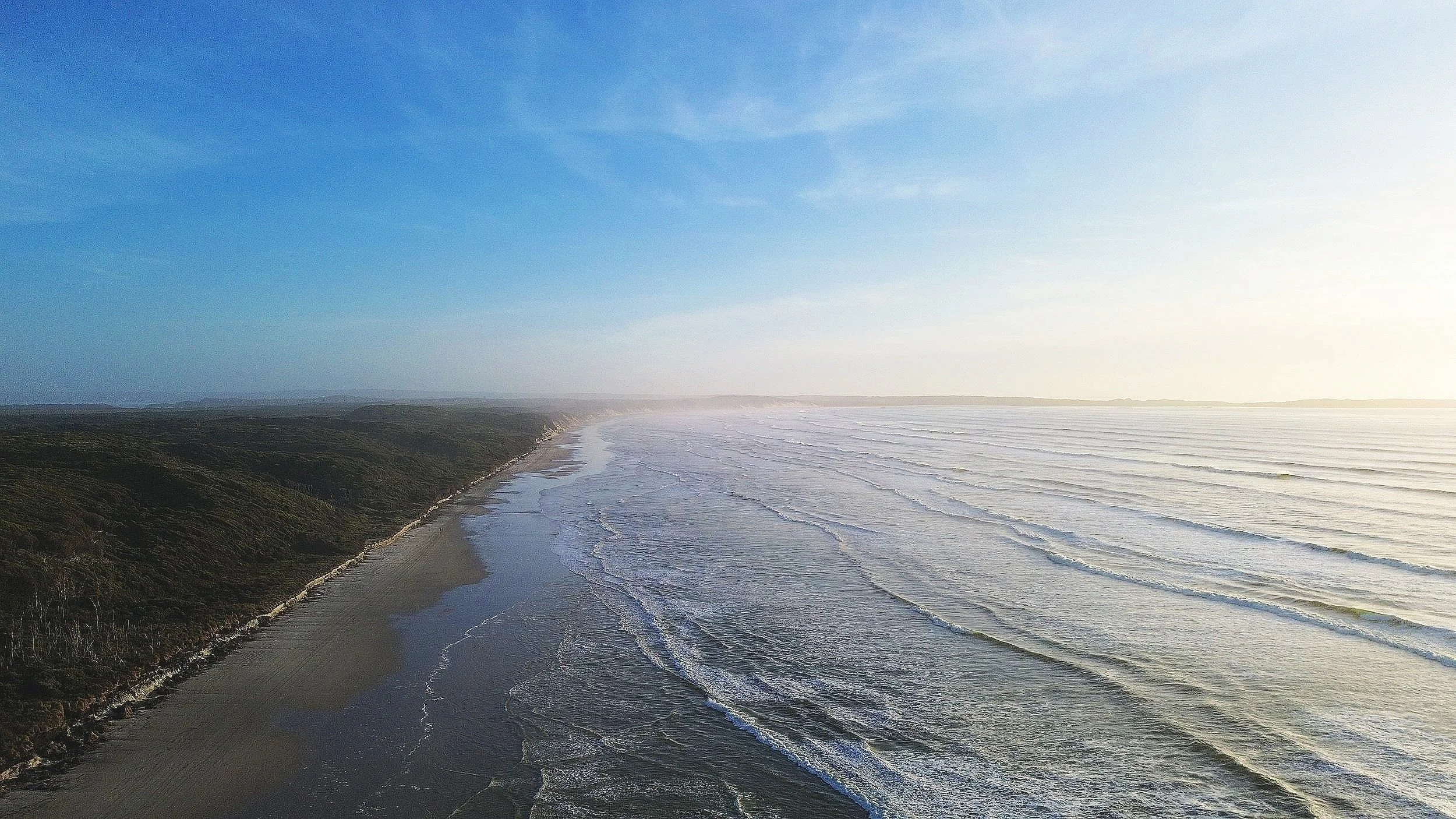 An aerial view of Ocean Beach, with rolling ocean waves, and a tree-covered cliff on the left side, under a partly cloudy sky with sunlight.