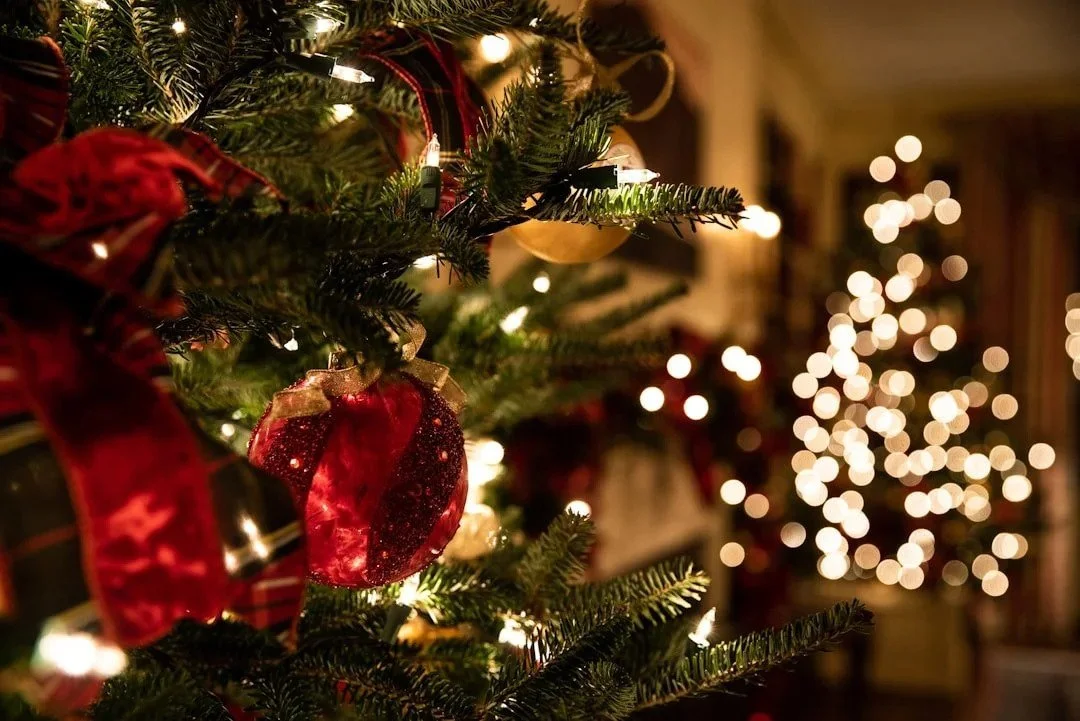 Save the date: Christmas in July - Wine Tasting Banquet 
Saturday 25 July 2026 from 6pm.

Christmas, the way it was meant to be - in the heart of winter. The Mill at Risby Cove is dressed for the season and warm with candlelight, for an evening of fe
