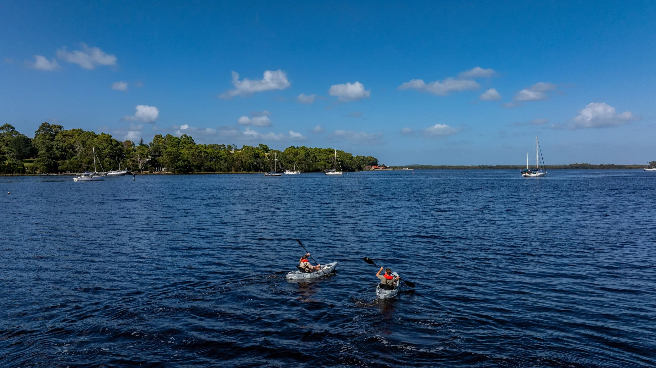 Cove Reflections Kayaking.jpg