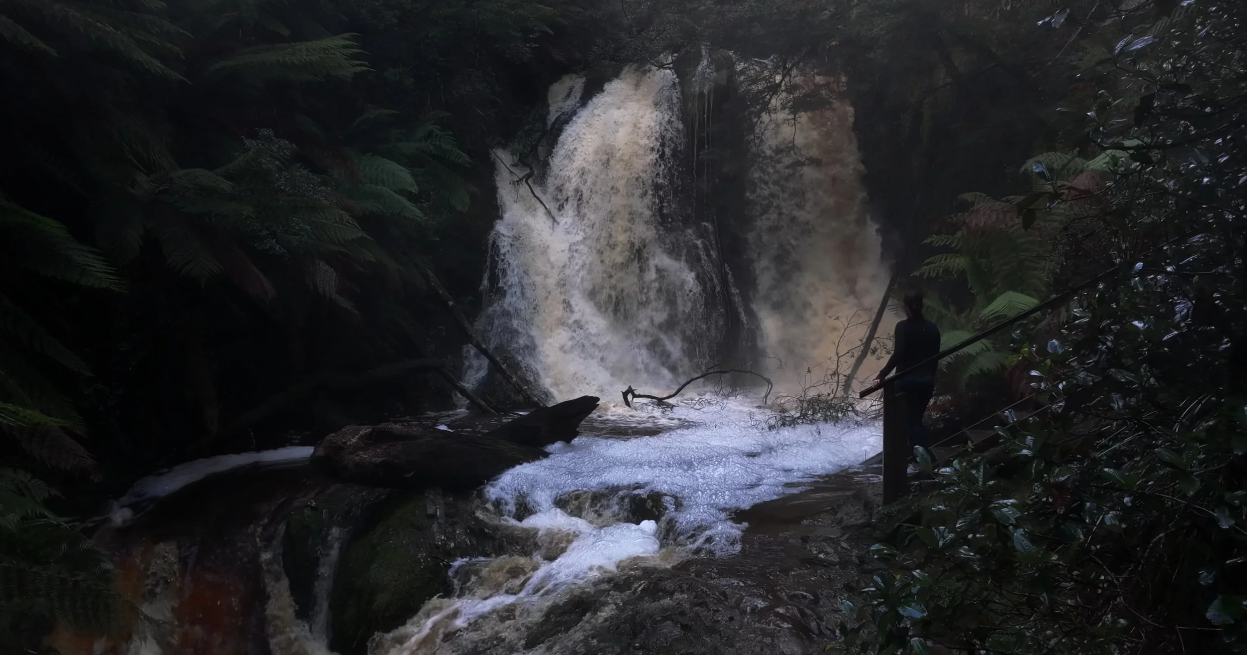 Hogarth Falls bushwalk