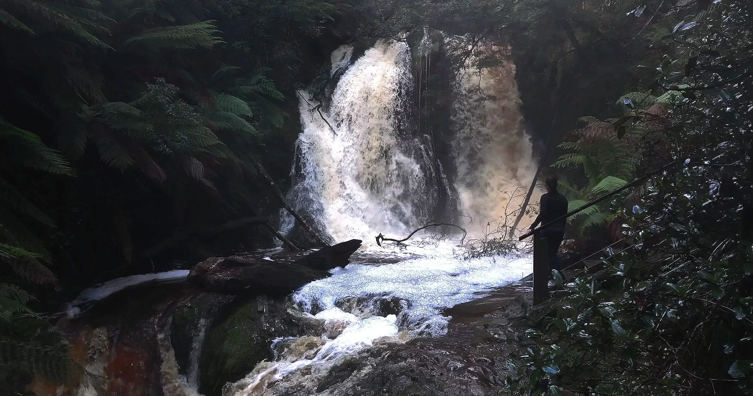 Hogarth Falls bushwalk