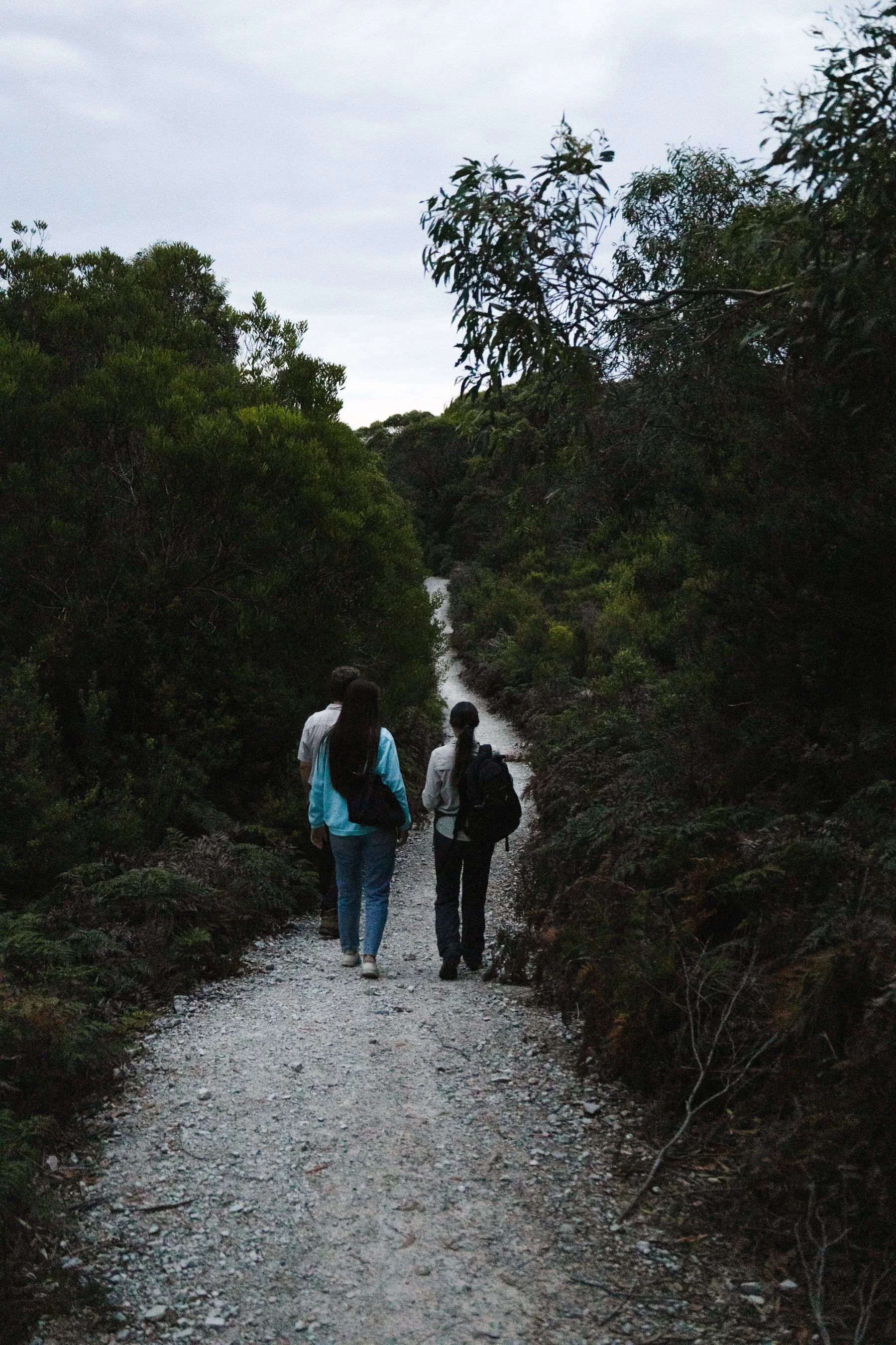 Three people walking on a dirt trail through a lush green forest with bushes and trees on both sides, overcast sky above.