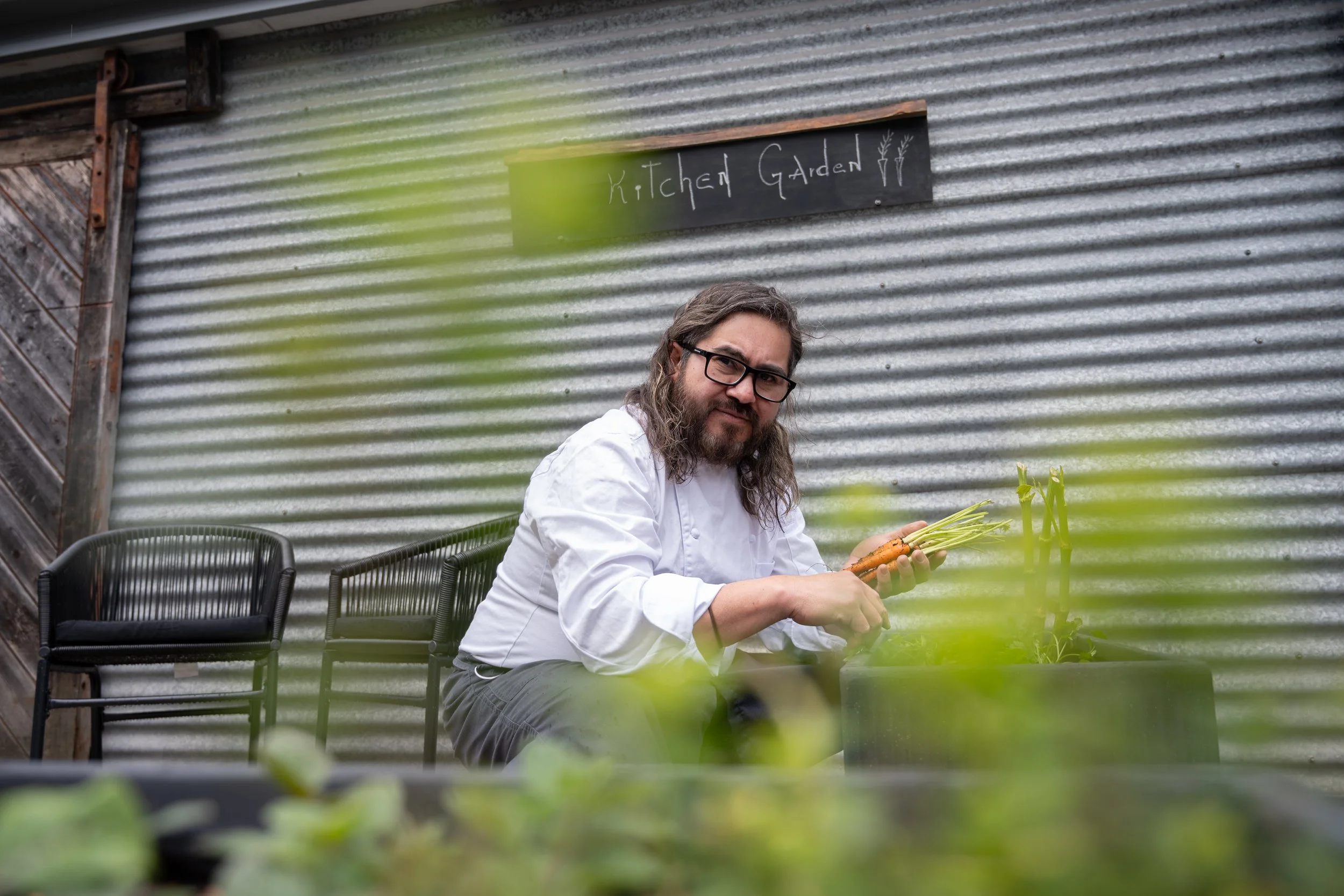 A man with glasses and long hair, wearing a white shirt, is harvesting a carrot in a garden. Behind him, a sign reads "Kitchen Garden" on a corrugated metal wall. There are chairs nearby and some green leaves in the foreground.