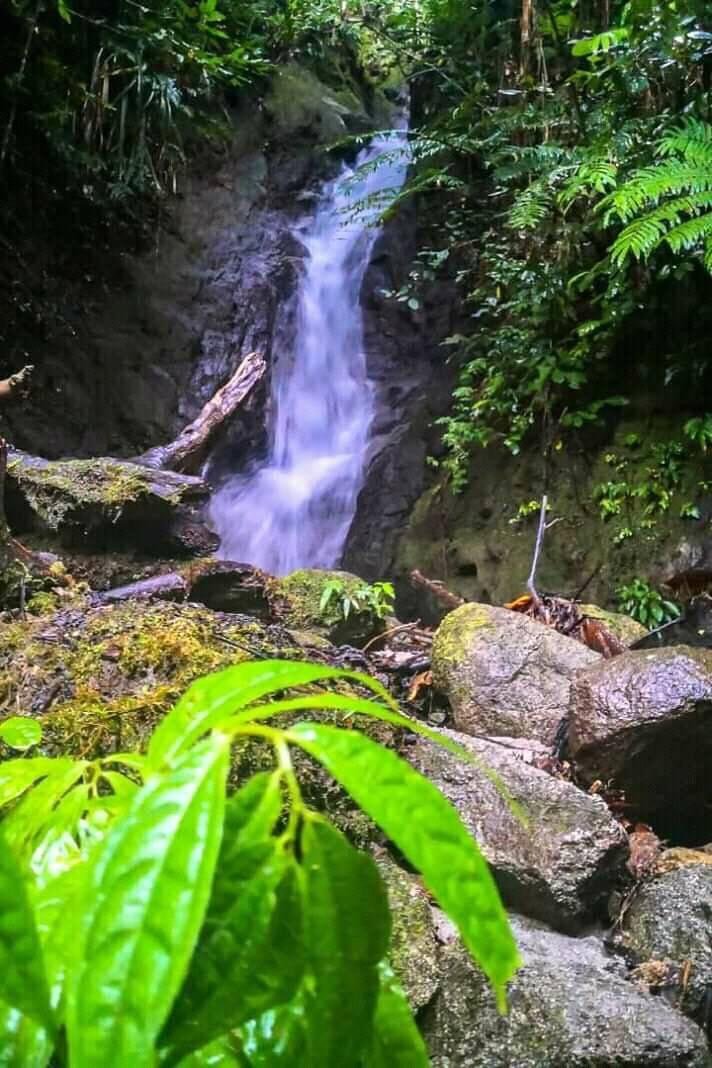 Bula Waterfall from Busameng FB.JPG