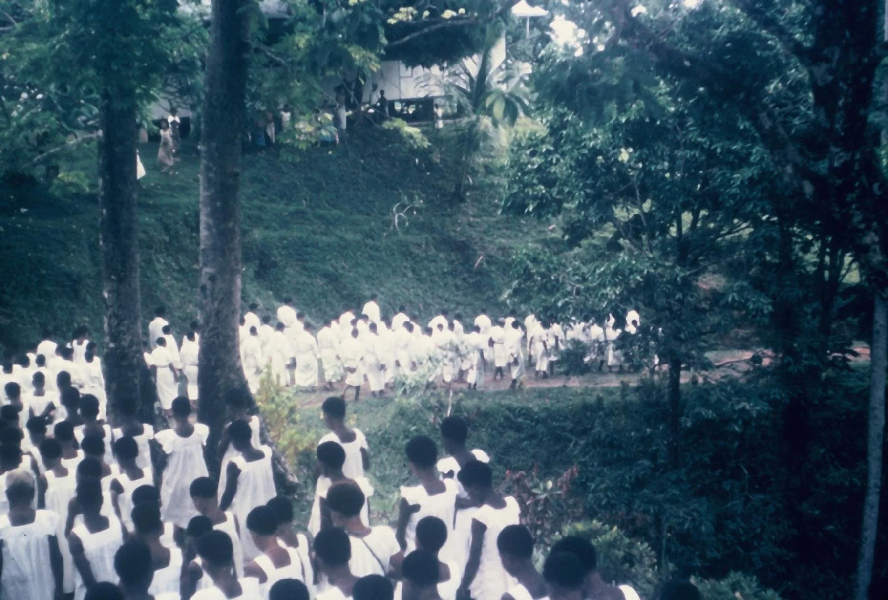 MalaloGroupWhite-1.jpg