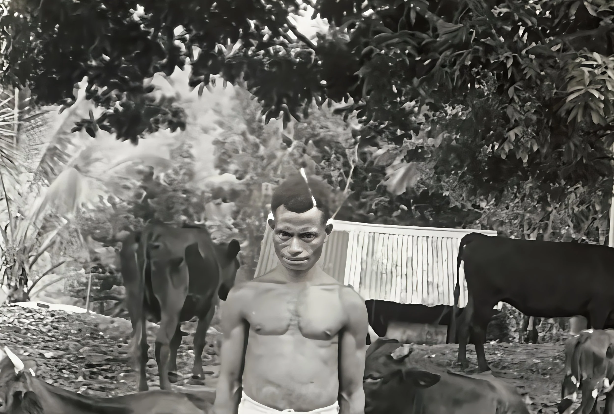 Abele who helped on the station and with the cows.jpg