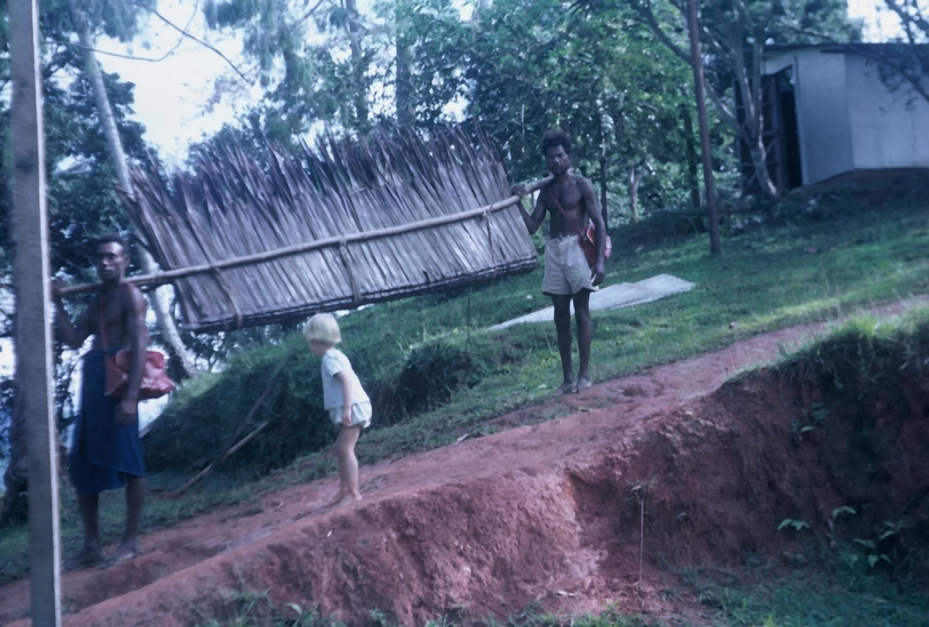 Part of a roof 1963.jpg