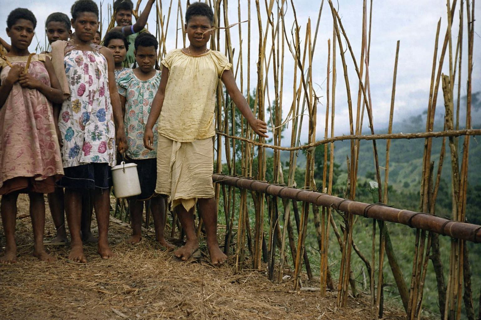 uknown villlagers.jpg