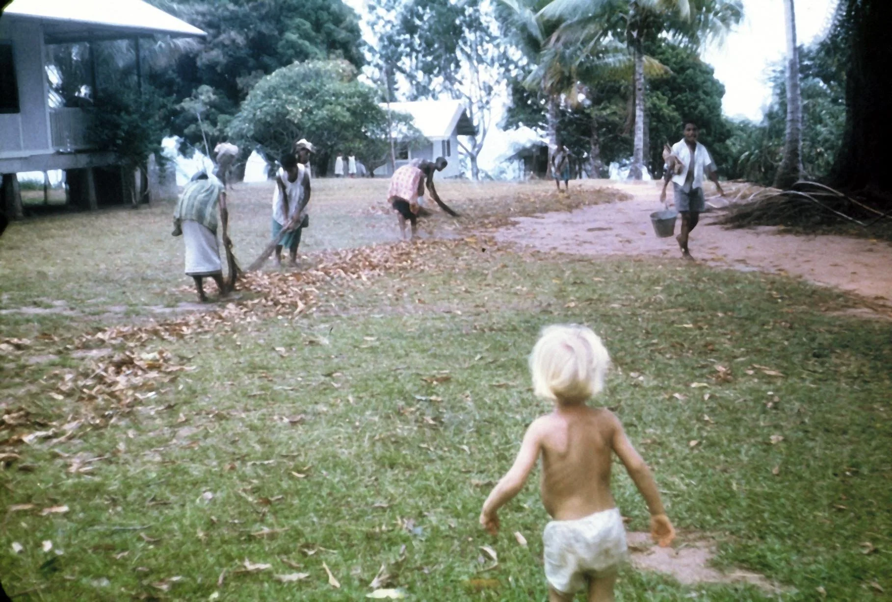 south side MalaloYard with path -Paula.jpg