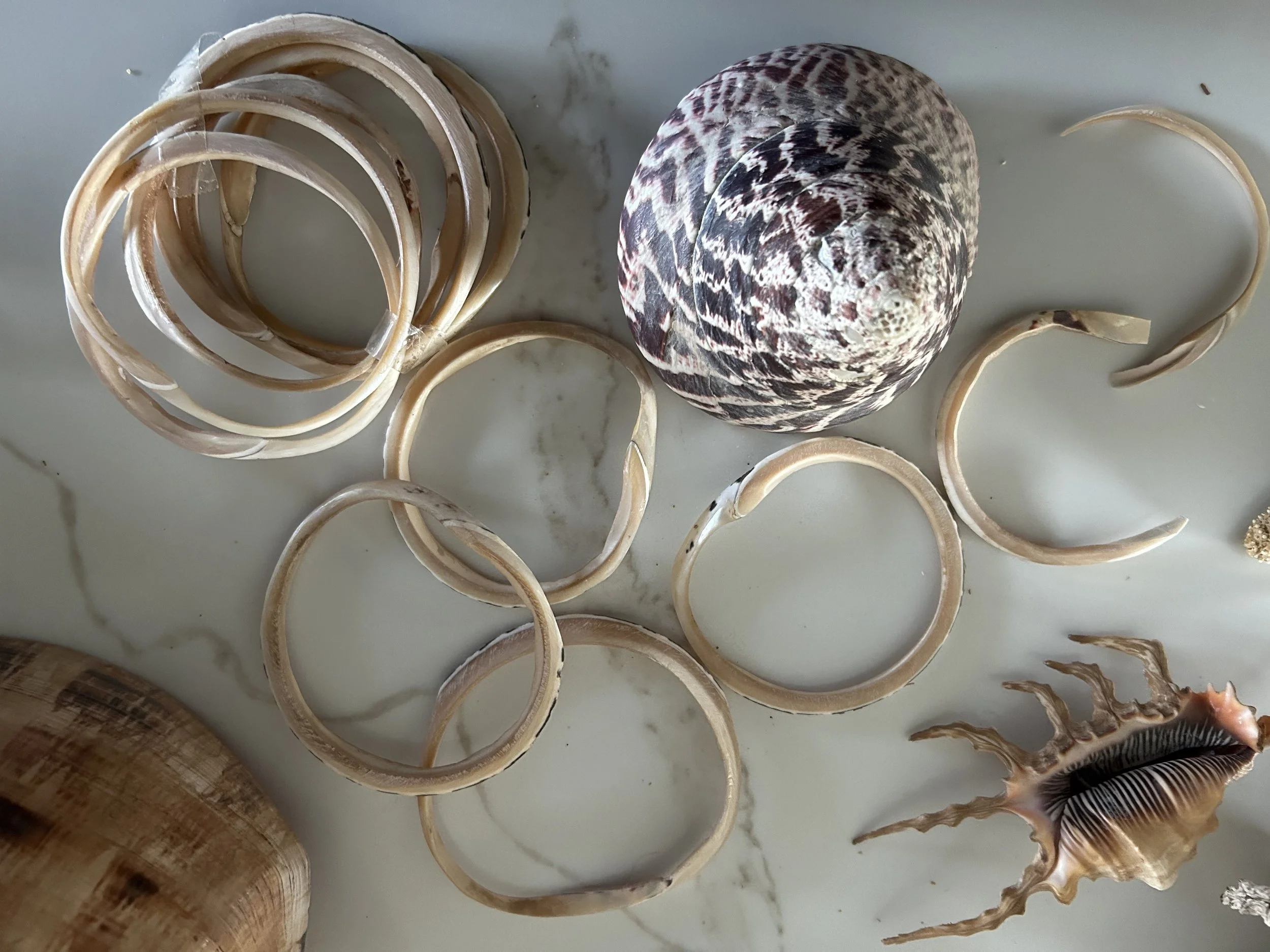 braclets from seashells.jpg