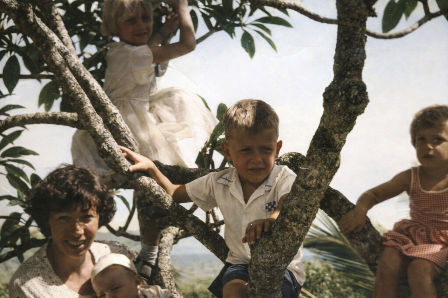 Paula and Tom in a Frangipani tree COPY.png