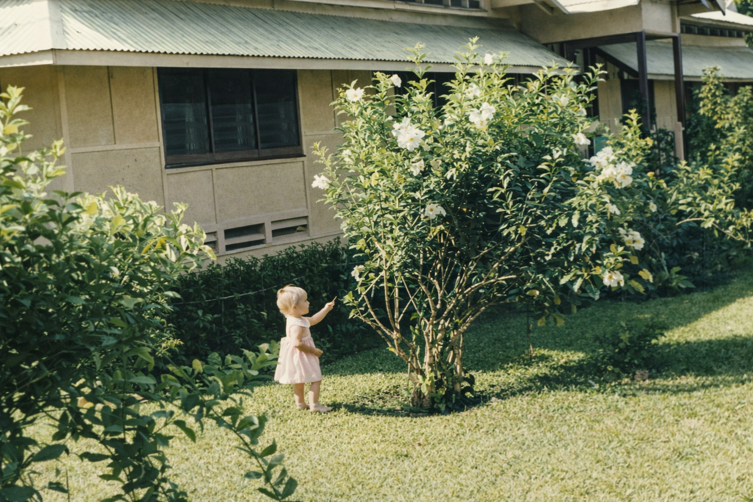 1966Alvin Ina Erickson family in Lae  PNG (6)-1.jpg