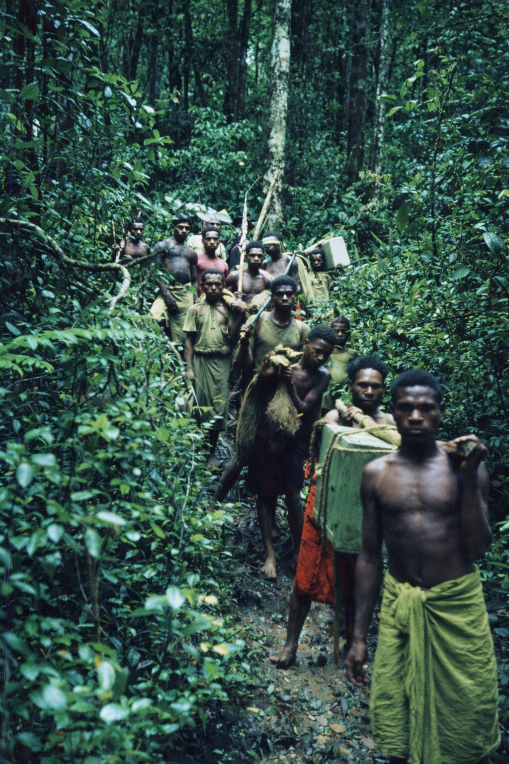 Crossing through forest Senff photo.jpg