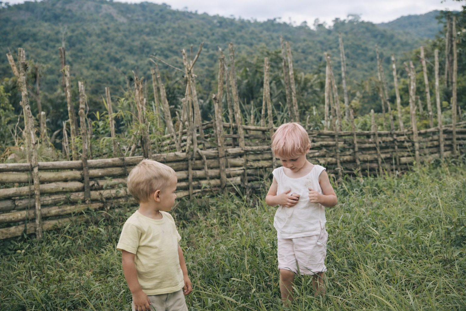 1964 Ponampa Station Paula Tom garden-1.jpg