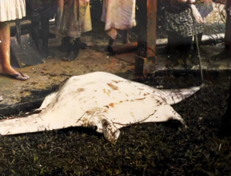 ray 140 pounds-1.jpg