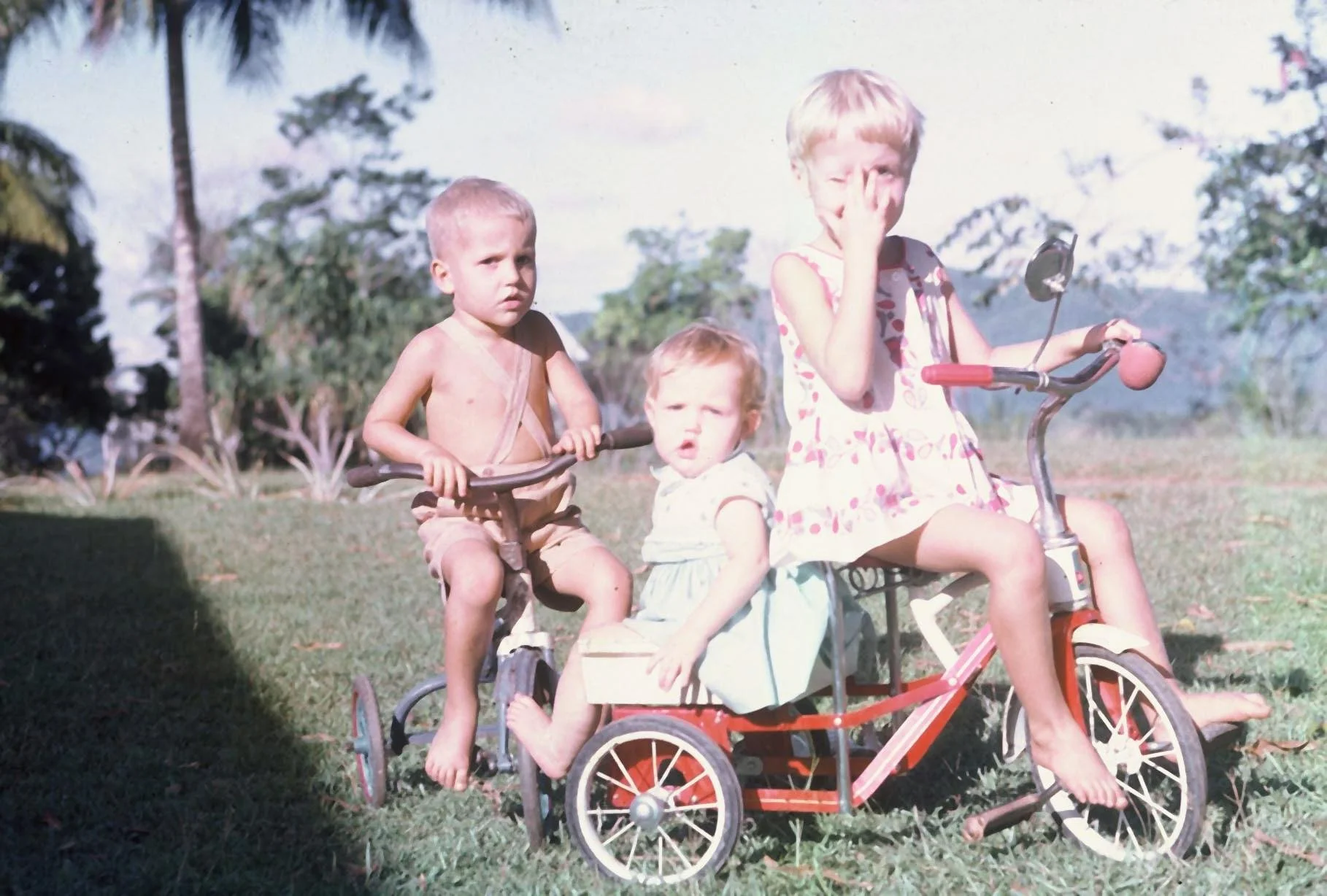 1966  Tricycles.jpg