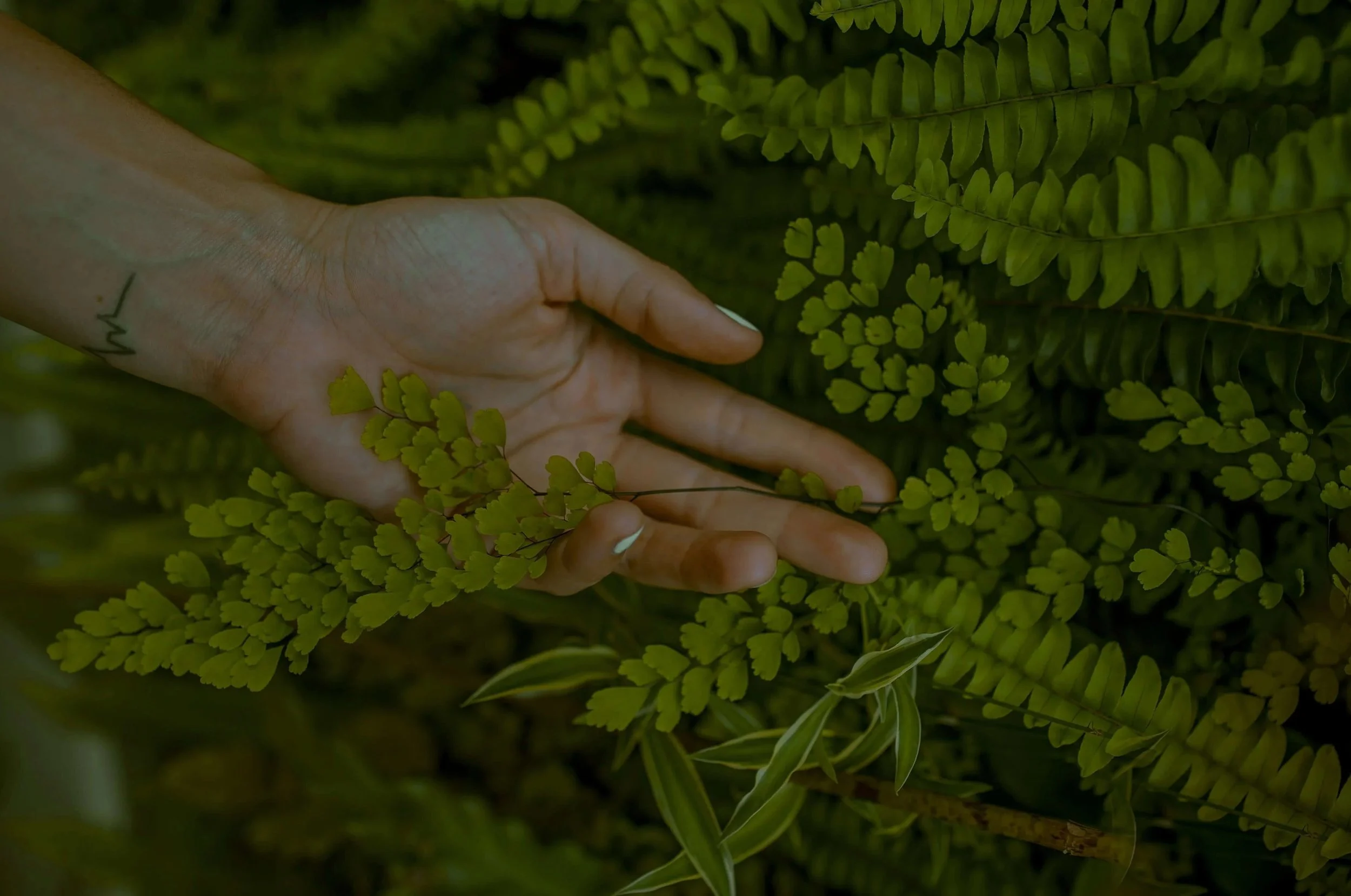 How Ketamine Helps Rewire the Brain to Manage Chronic Pain