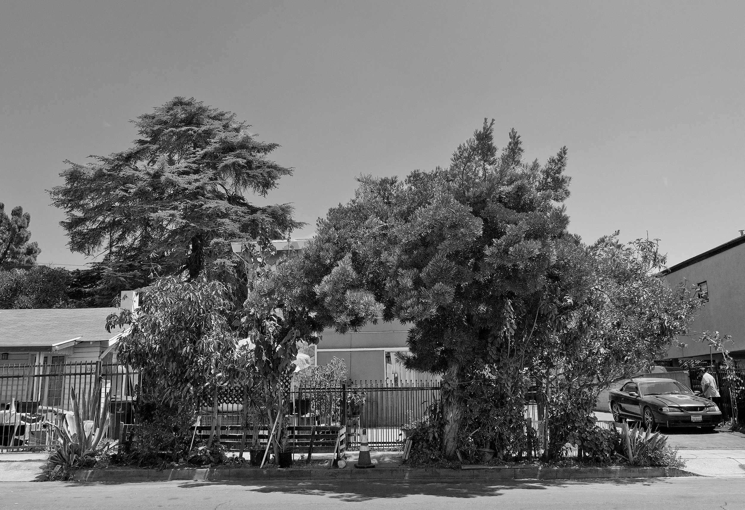 _P9A0606a bw copy.jpg