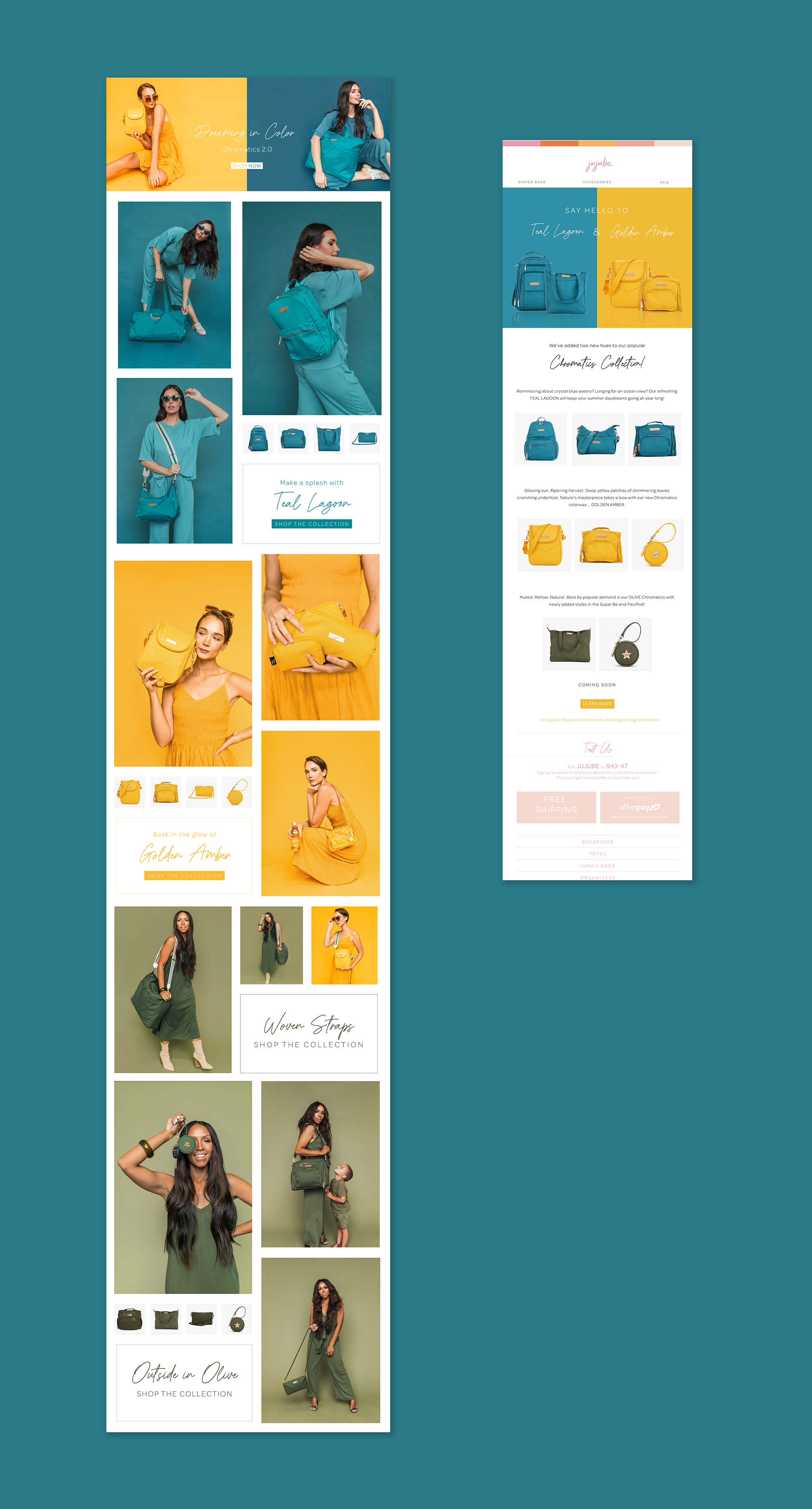 Portfolio-MockUp-Web-Chromatics.png