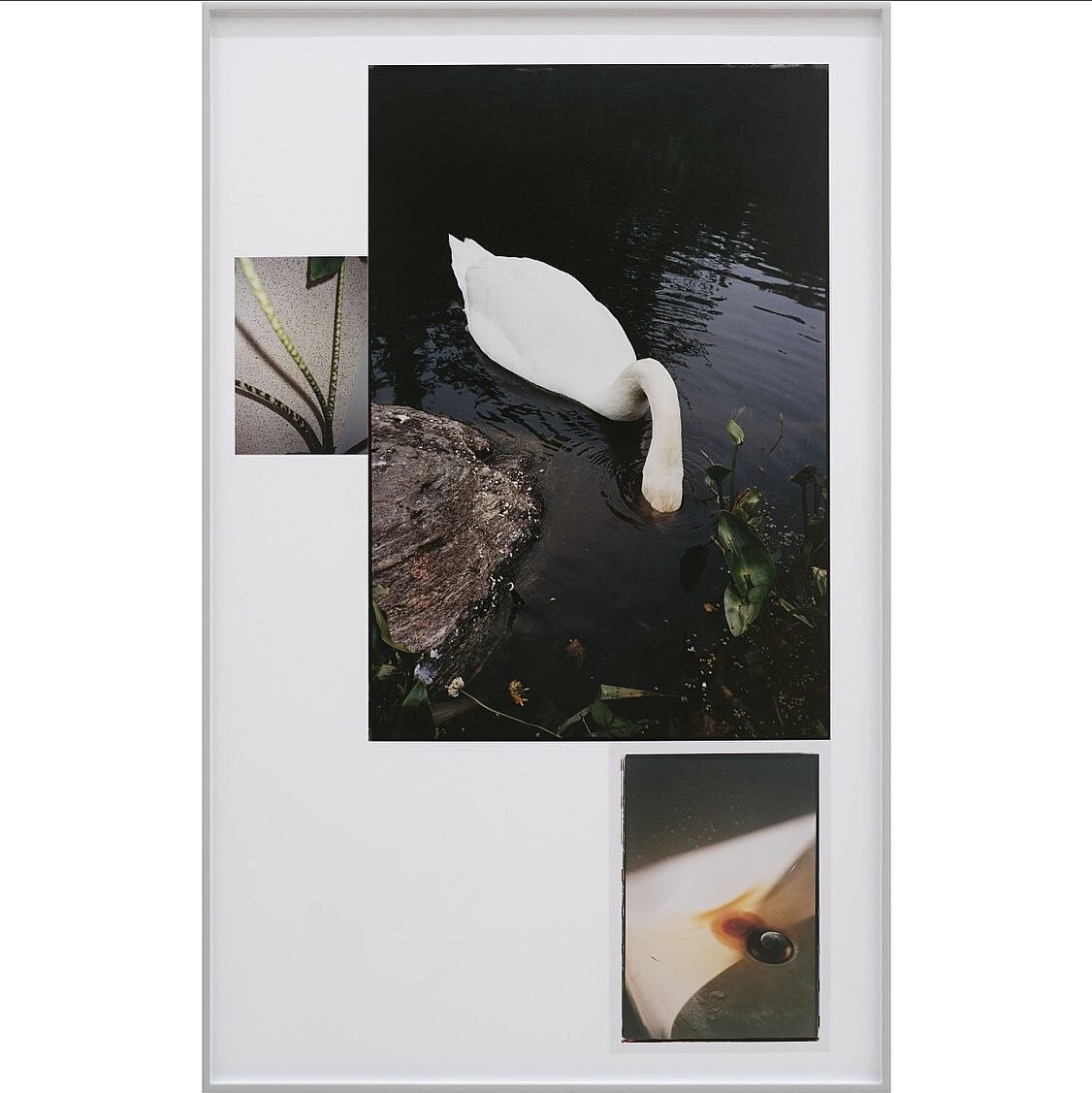 Mary Manning 
Genuflect (For/After Jonas Mekas)
2022
Chromogenic prints, matt board, artist frame
38 1/2 x 24 1/2 x 1 1/2 inches (97.79 x 62.23 x 3.81 cm) 
Courtesy of @maryymanningg @canada.nyc 

#marymanning #marymanningphoto #canadagallery #canada