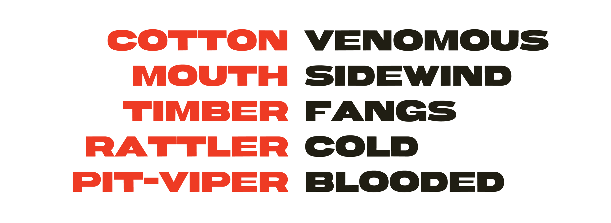 yrt-copperhead-typespeciments_copper2.png