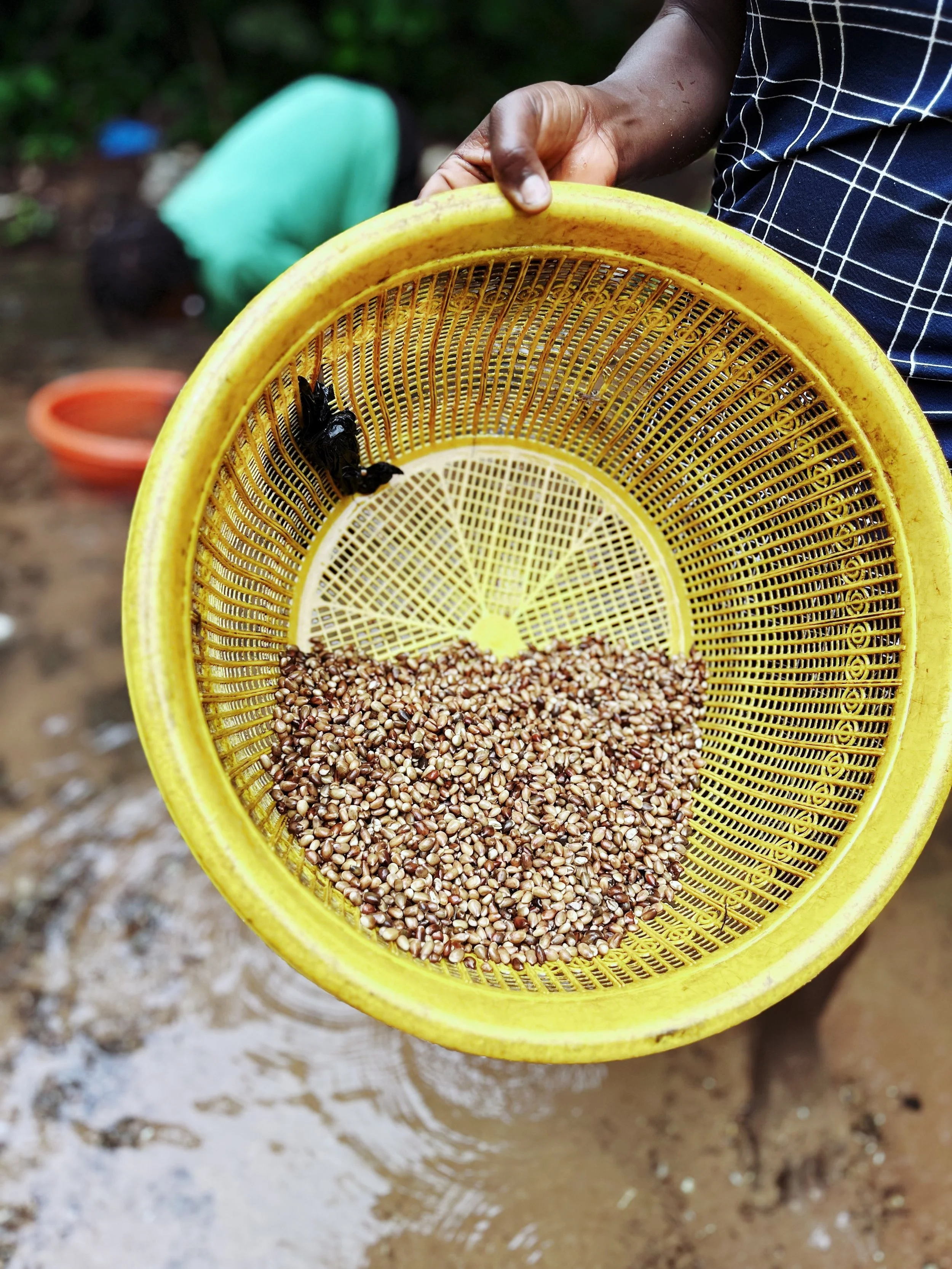 IMG_4083 Edited.jpeg