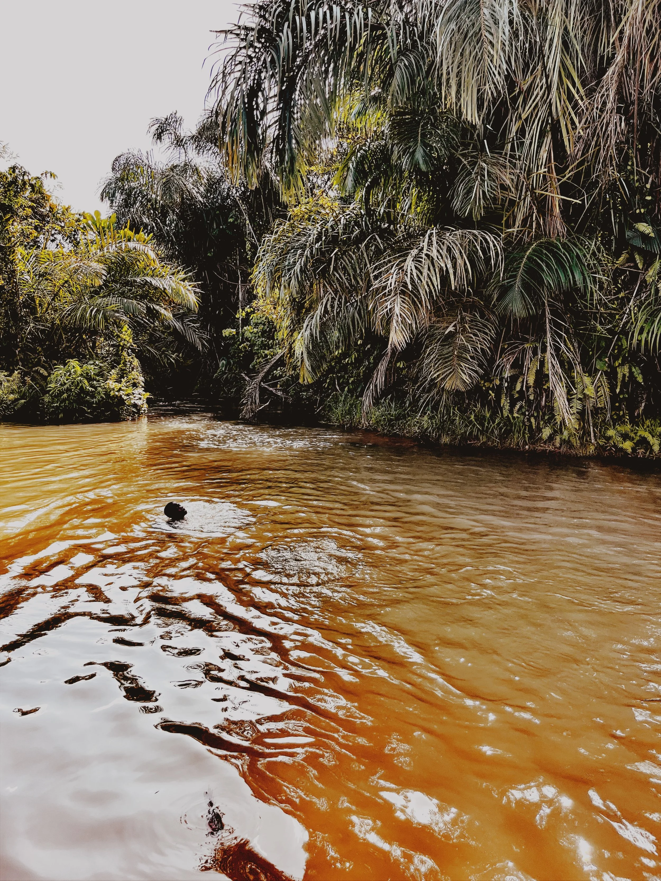 IMG_3978 Edited.jpeg