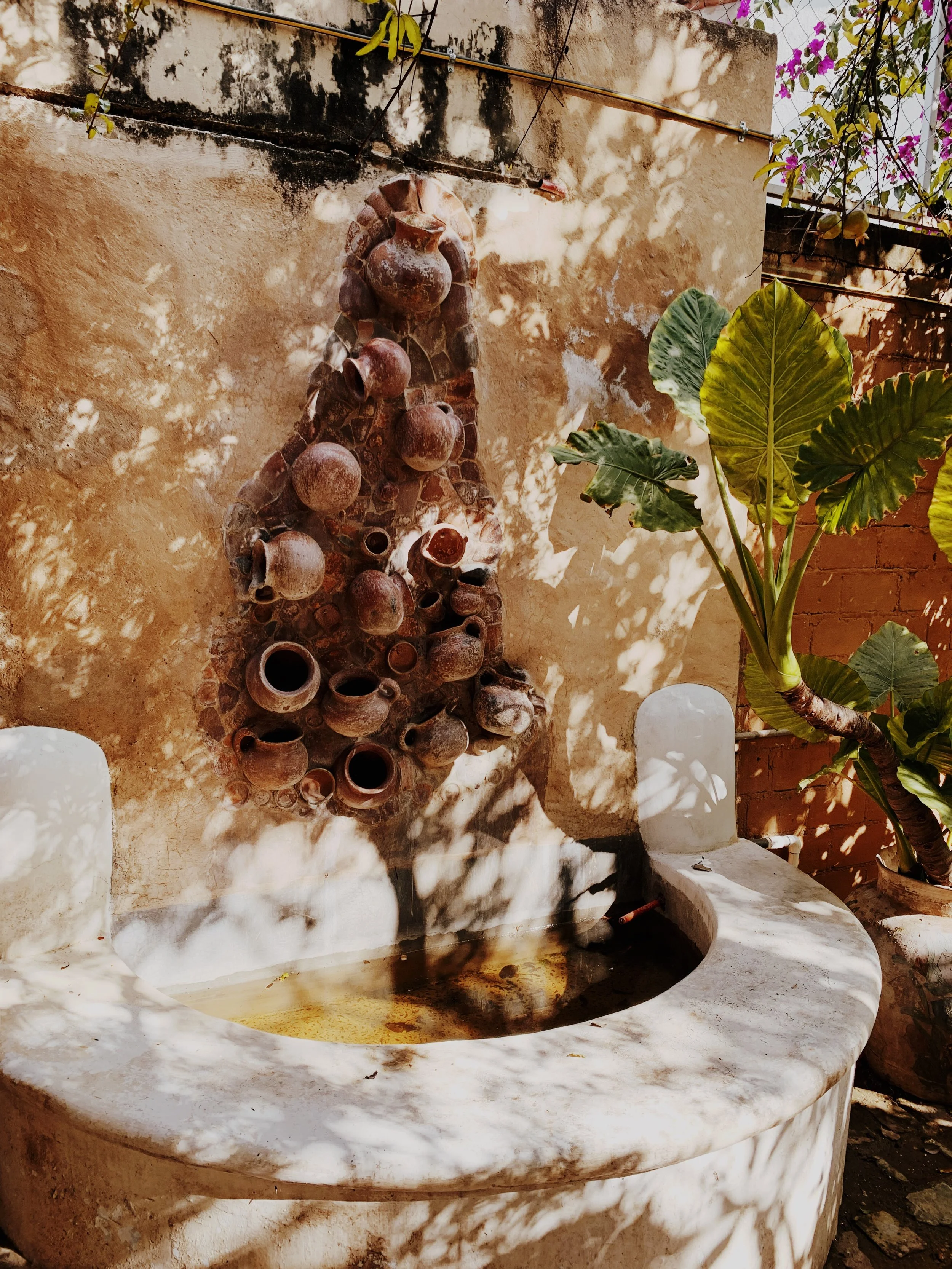 IMG_5512 Edited.jpeg