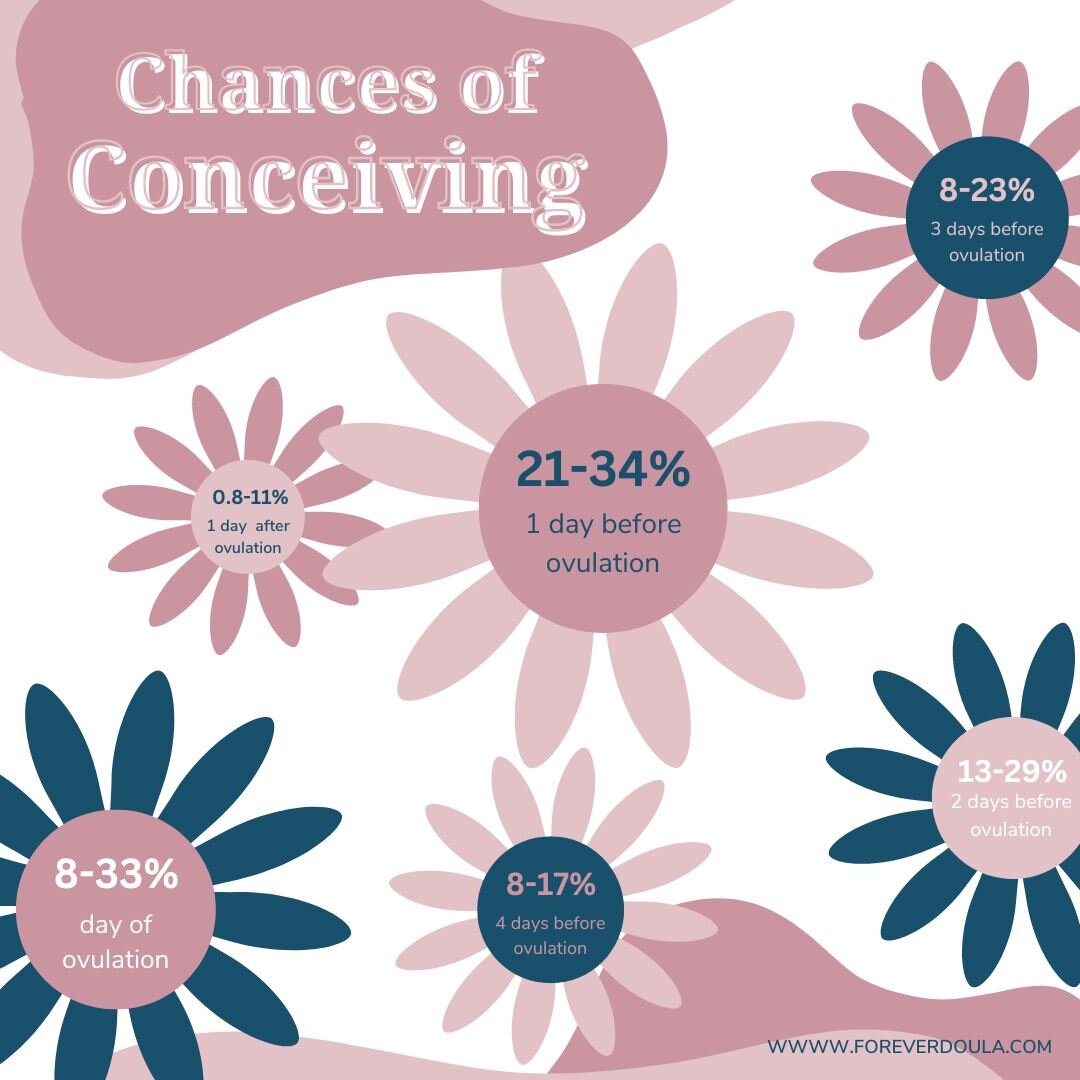 When trying to conceive, it is a great idea to have information about what your chances are of conceiving during your fertile window. The chances shift significantly each day! This infographic gives statistical information. If you would like more evi