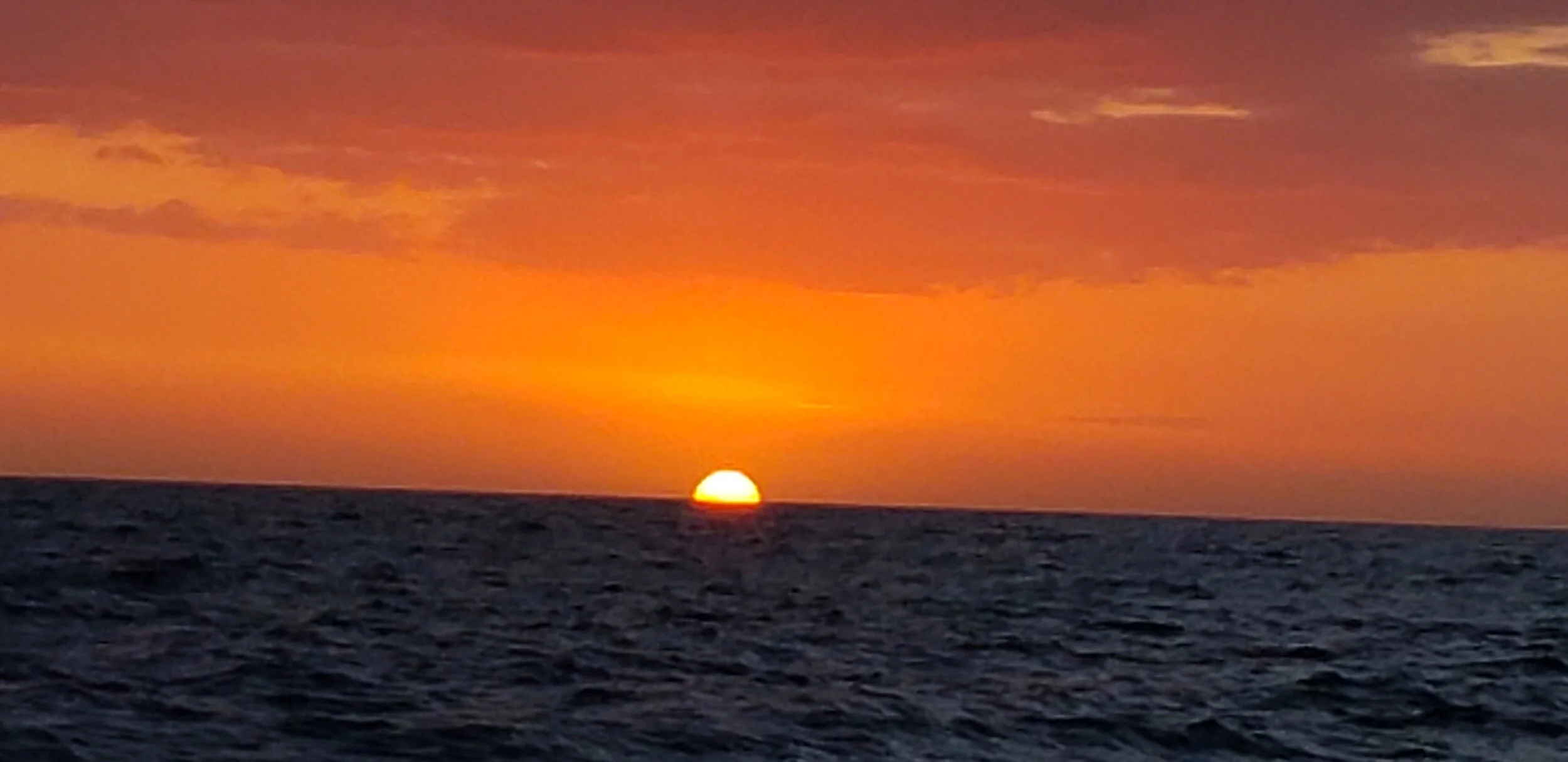 Aloha &amp; Mahalo