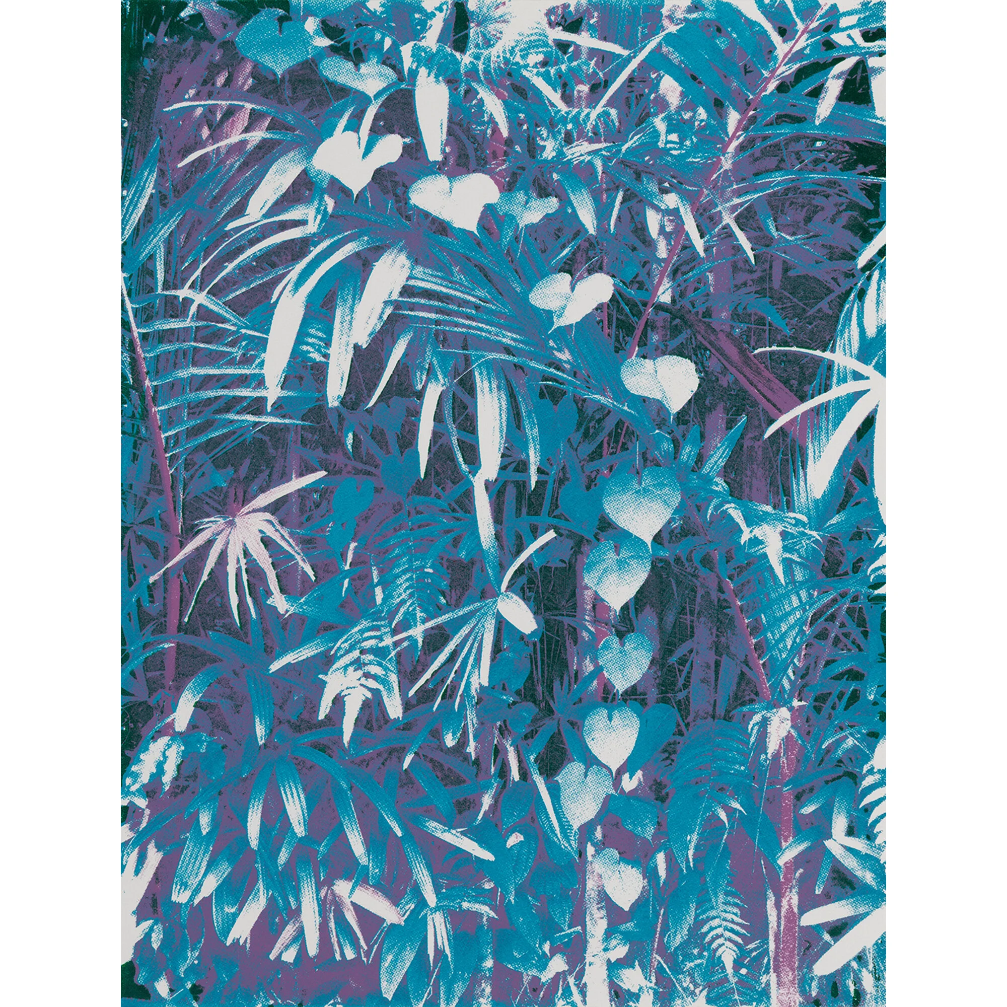 Lady Palm.jpg