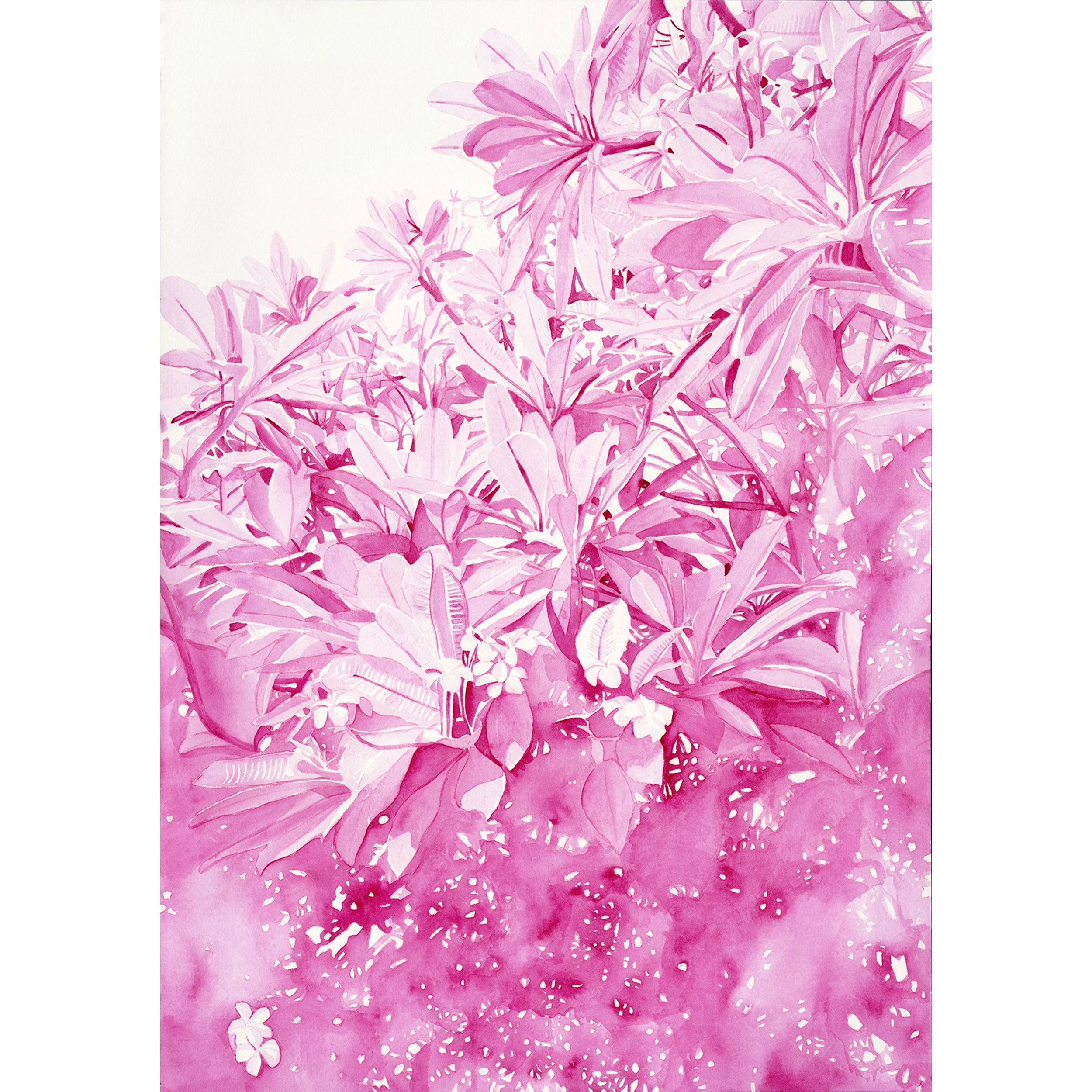 Opera Pink (print)