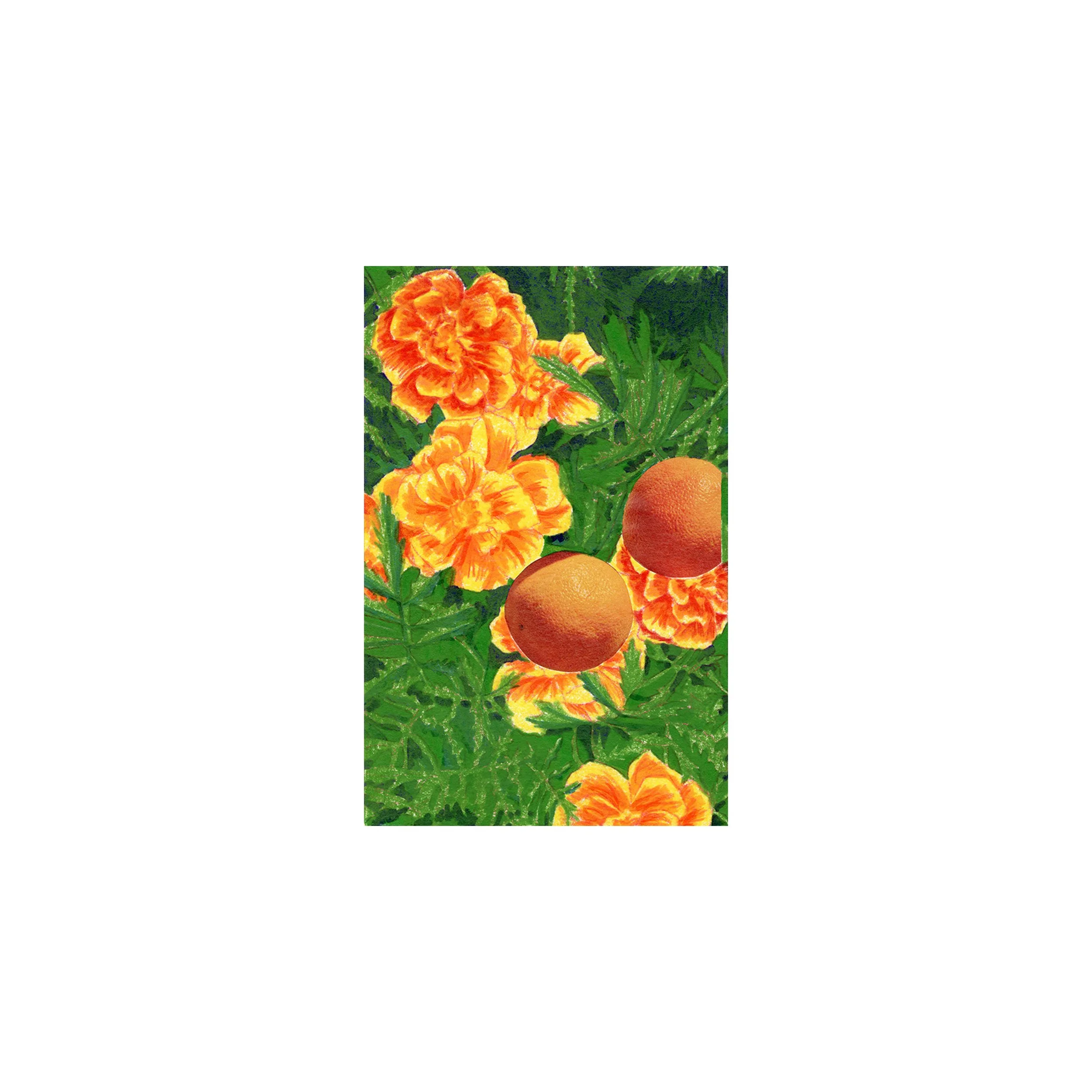 Janie Spry Orbs_on white square_extra small.jpg