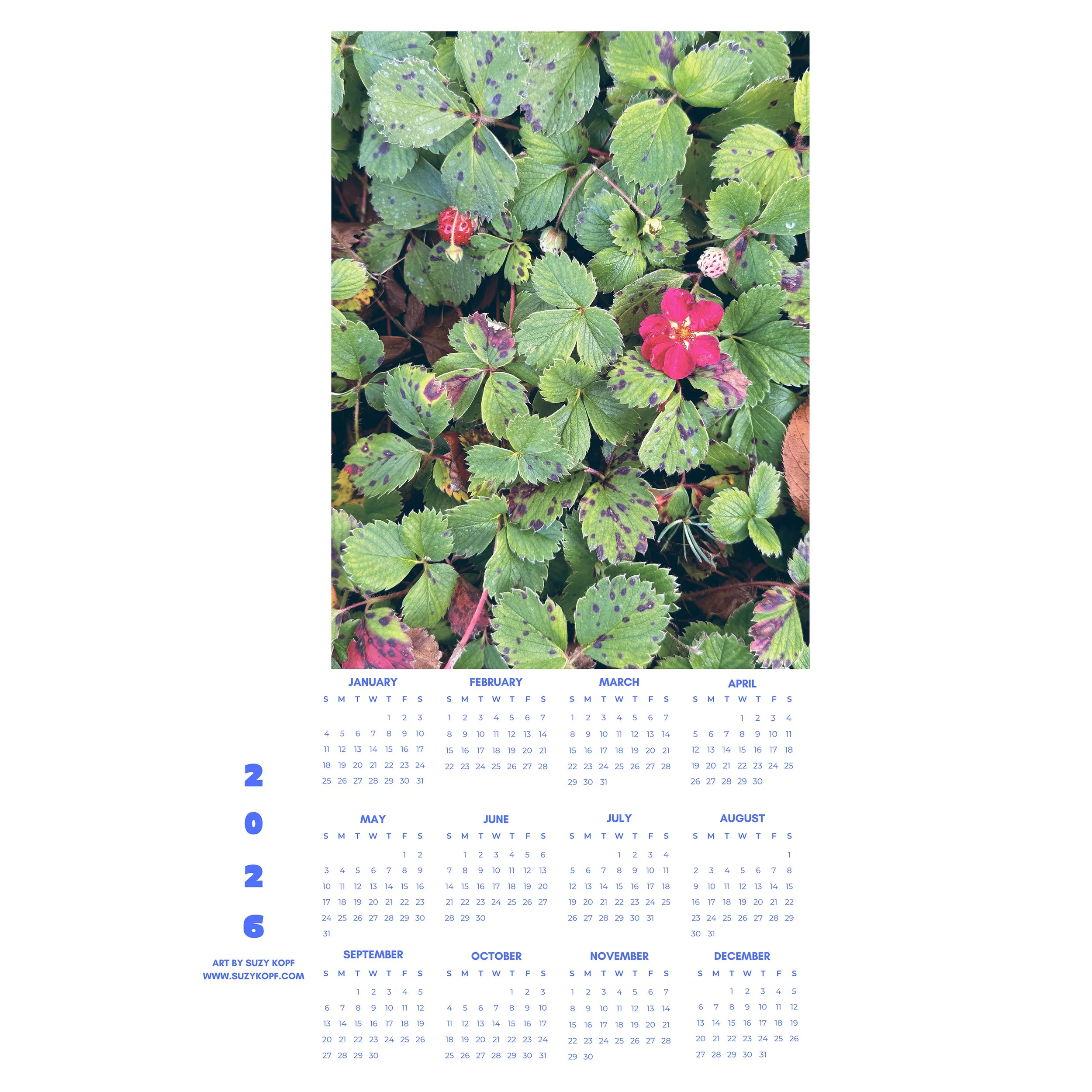 Beach Berries Calendars.jpg