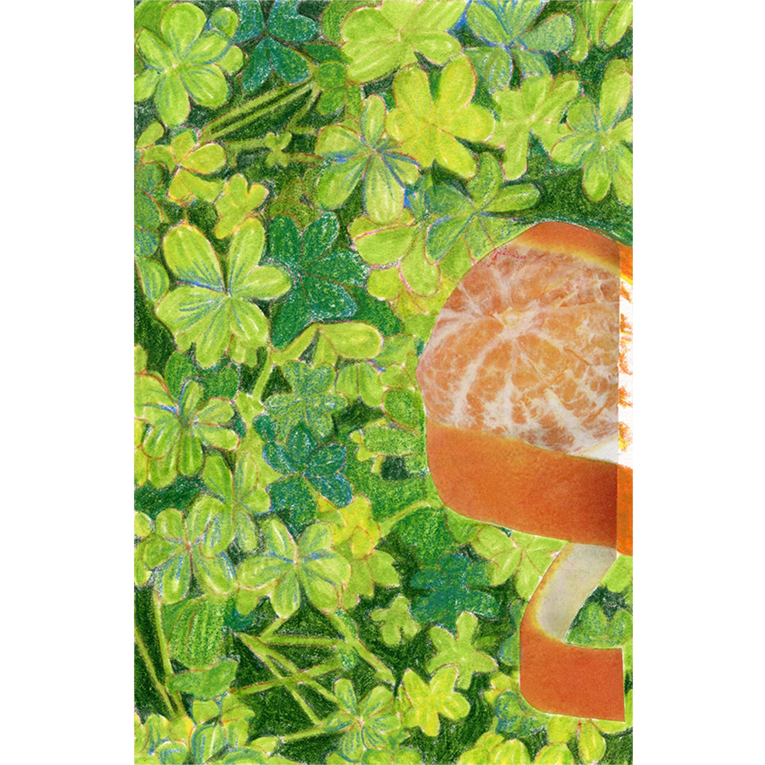 Peeled Clover_on white square.jpg