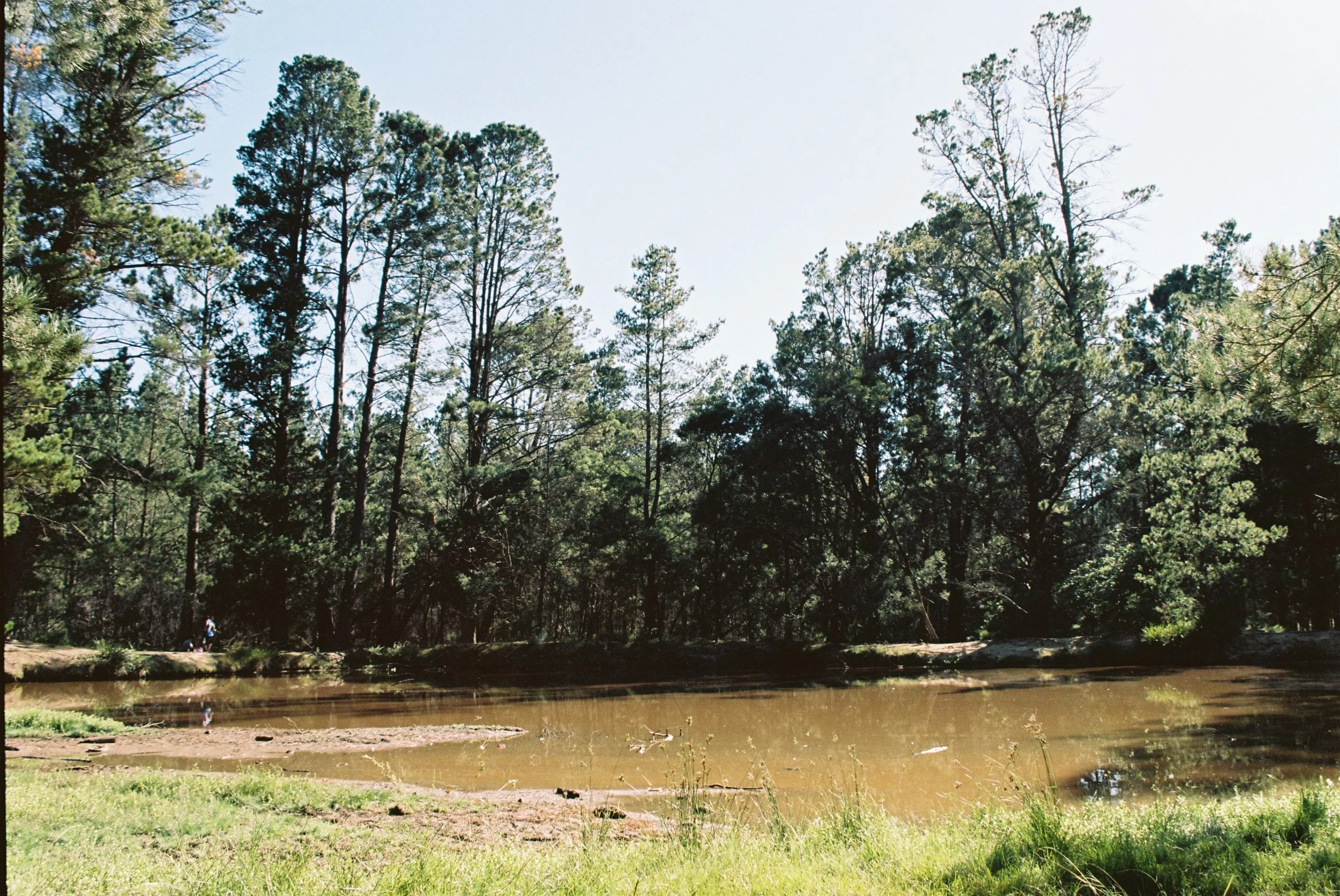 F061976-R1-03-3A.jpg