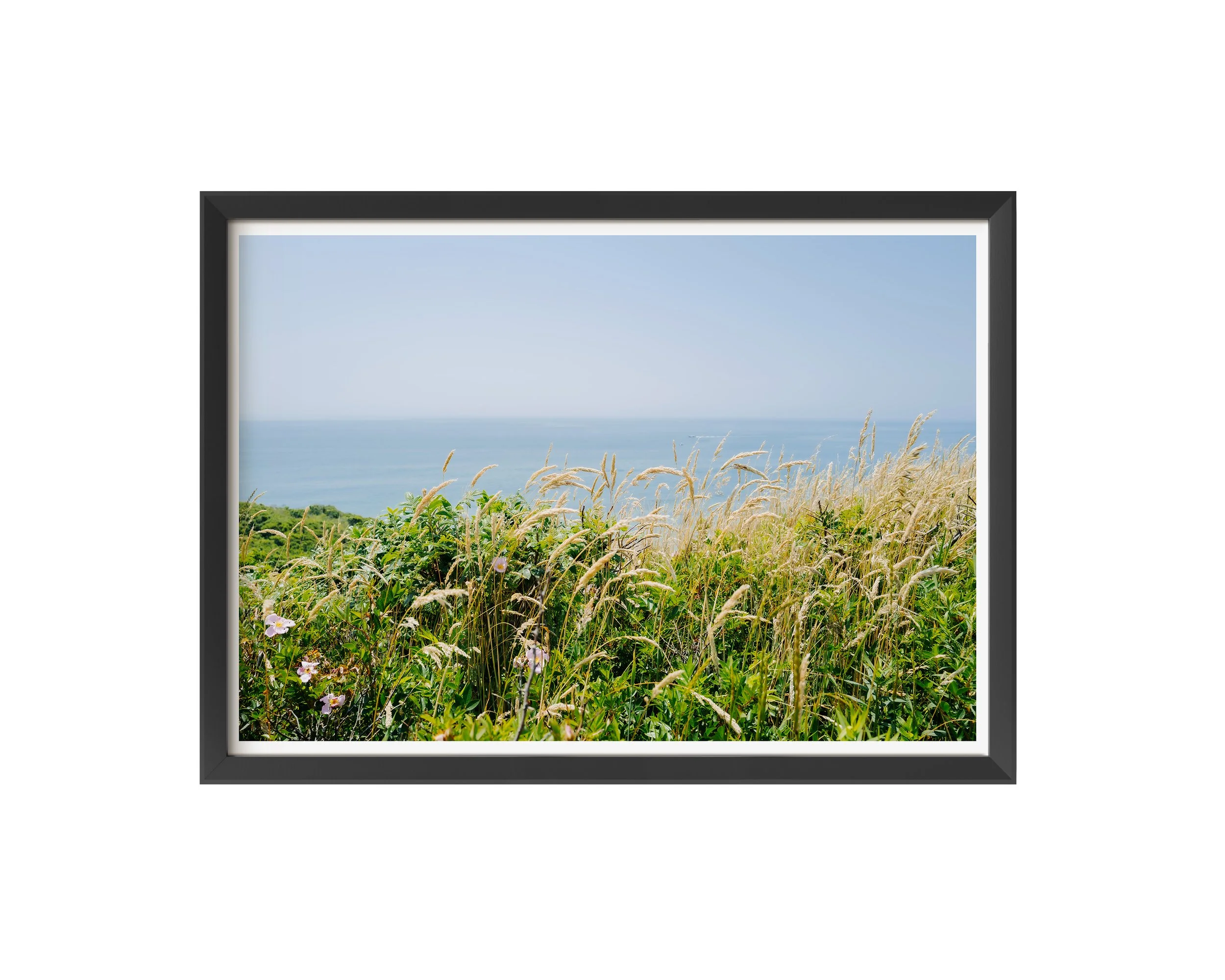 Salt & Honey Print Martha’s Vineyard Coastal Grasses