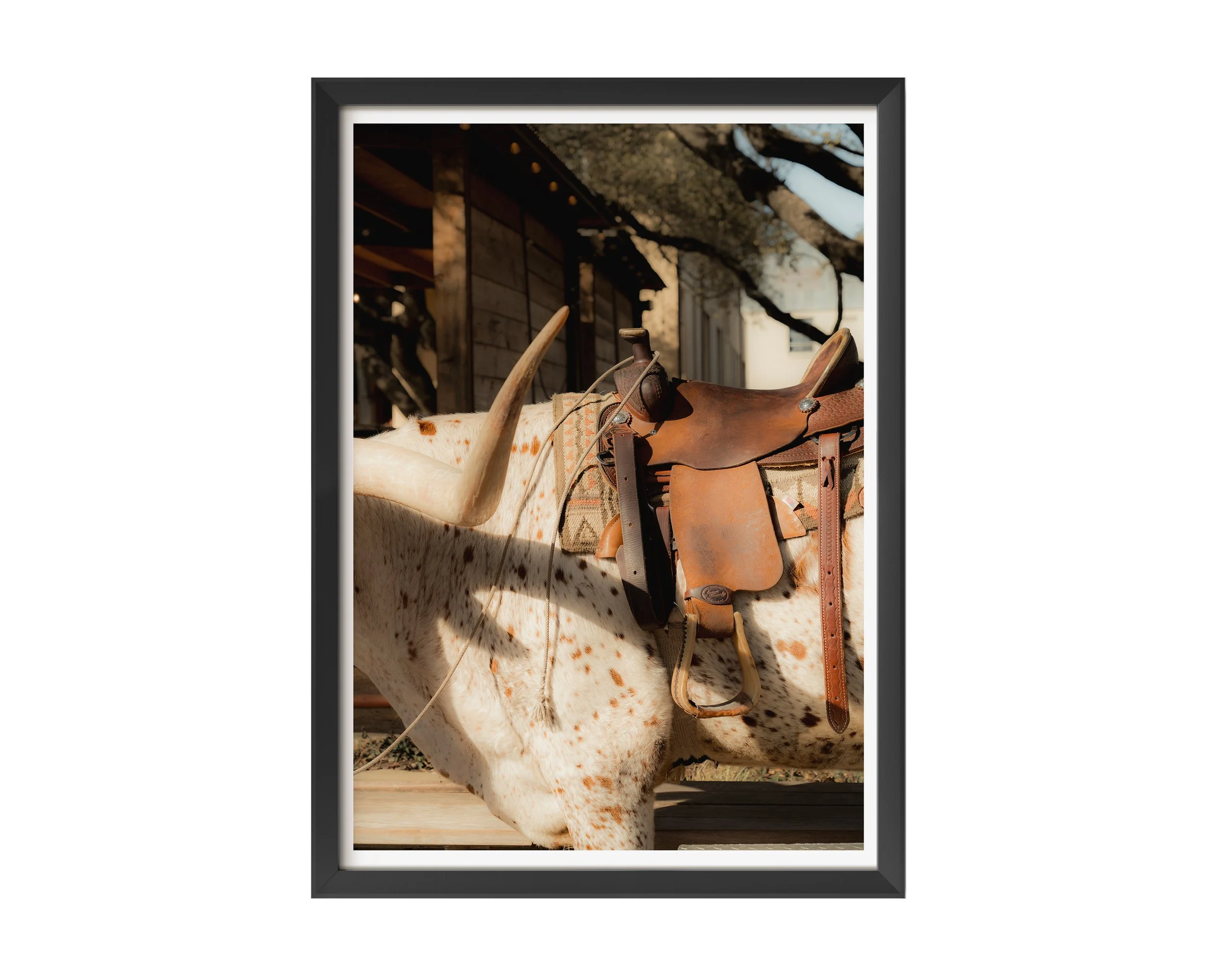 Sundown Saddle - black frame.jpg