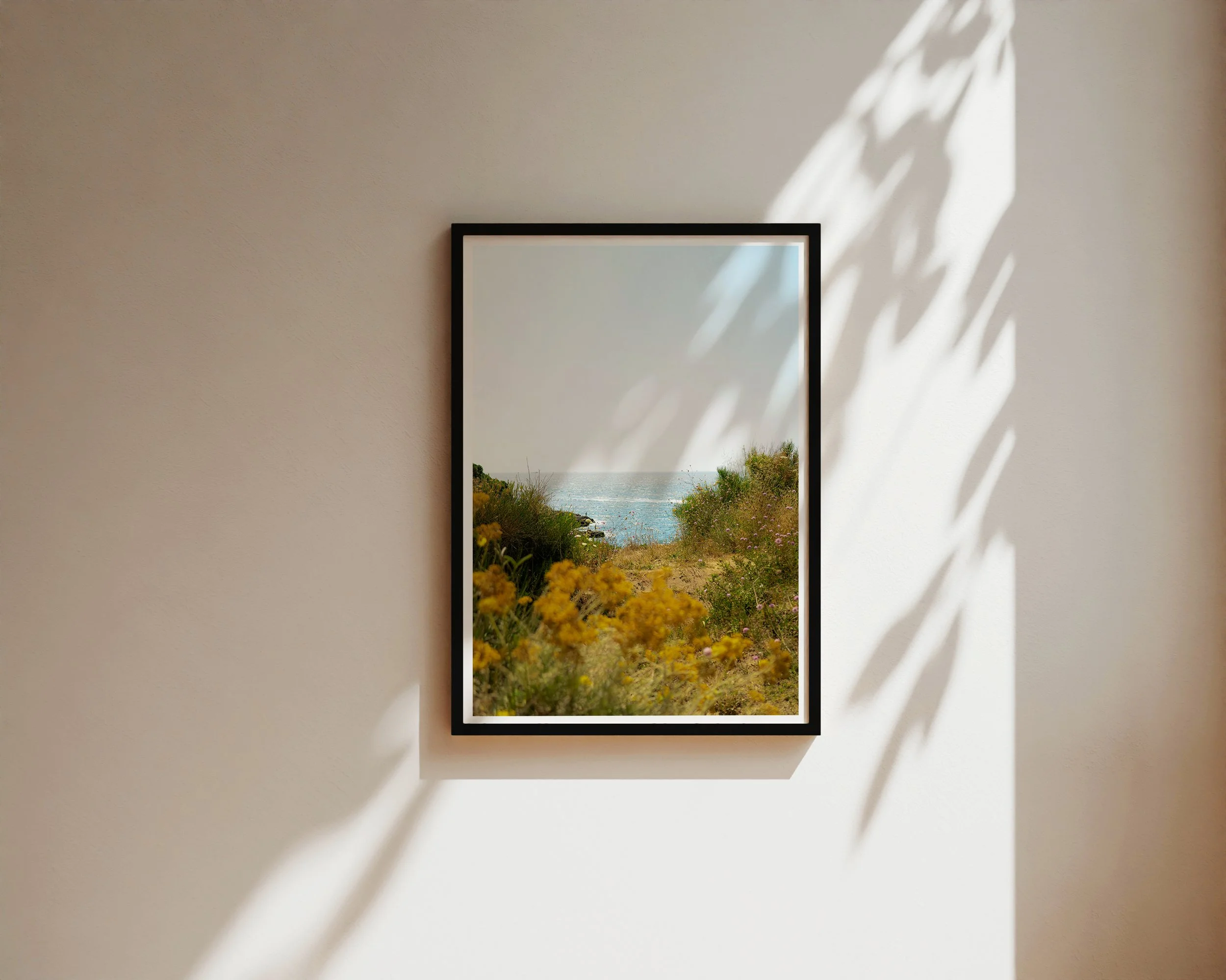 Explore the wonder of the world for your walls through fine art photography by Nicole Toland