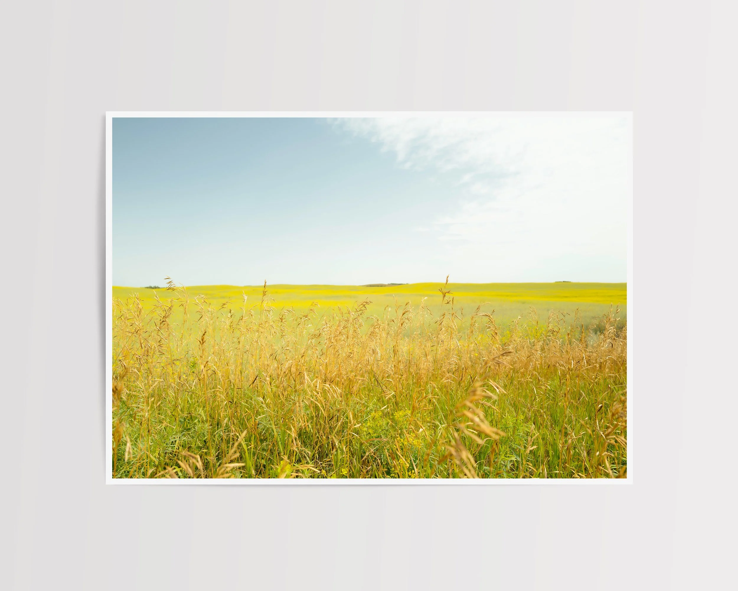 wild honey - no frame.jpg