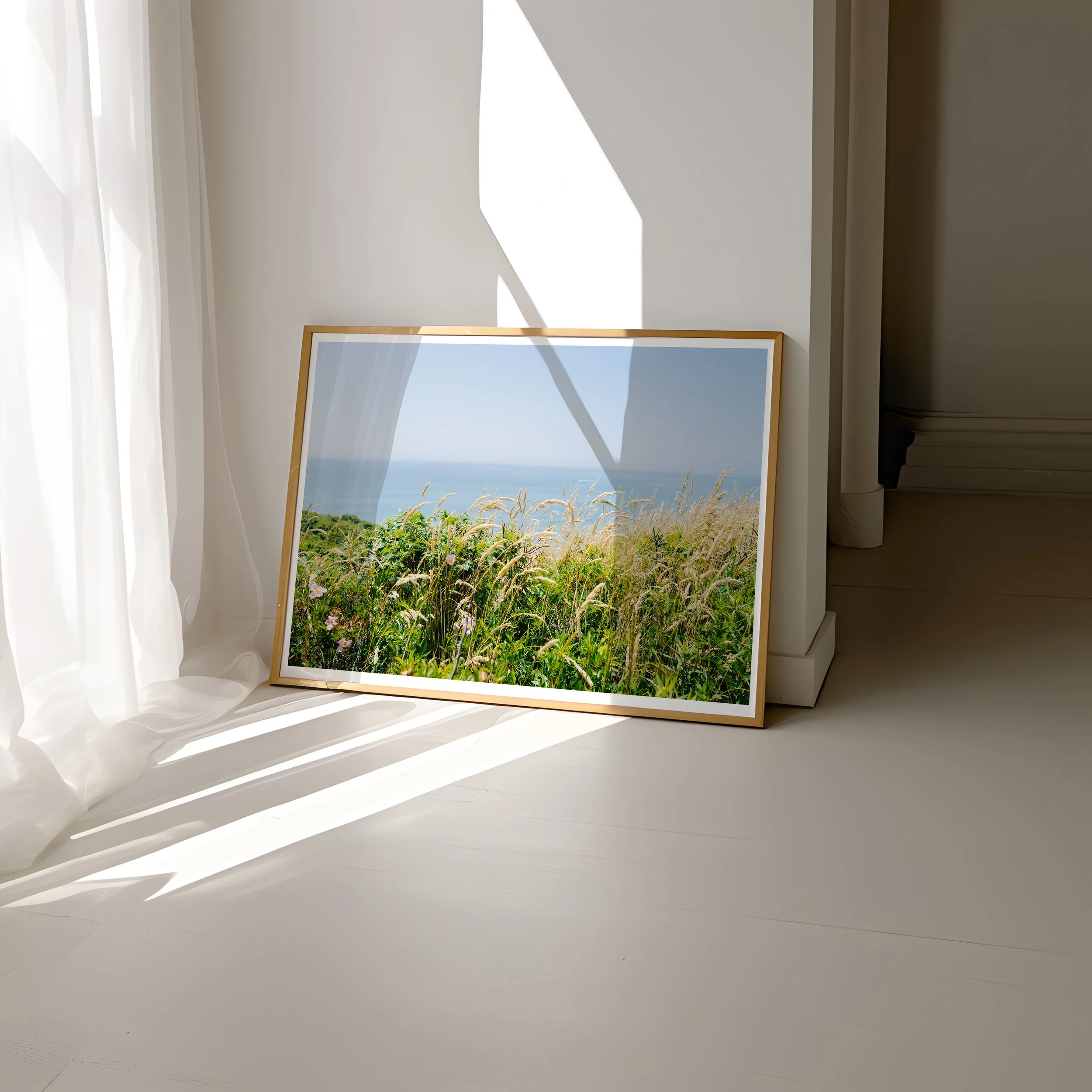 Salt and Honey fine art photography print by Nicole Toland, framed coastal grasses Martha's Vineyard leaning against wall in sunlit room