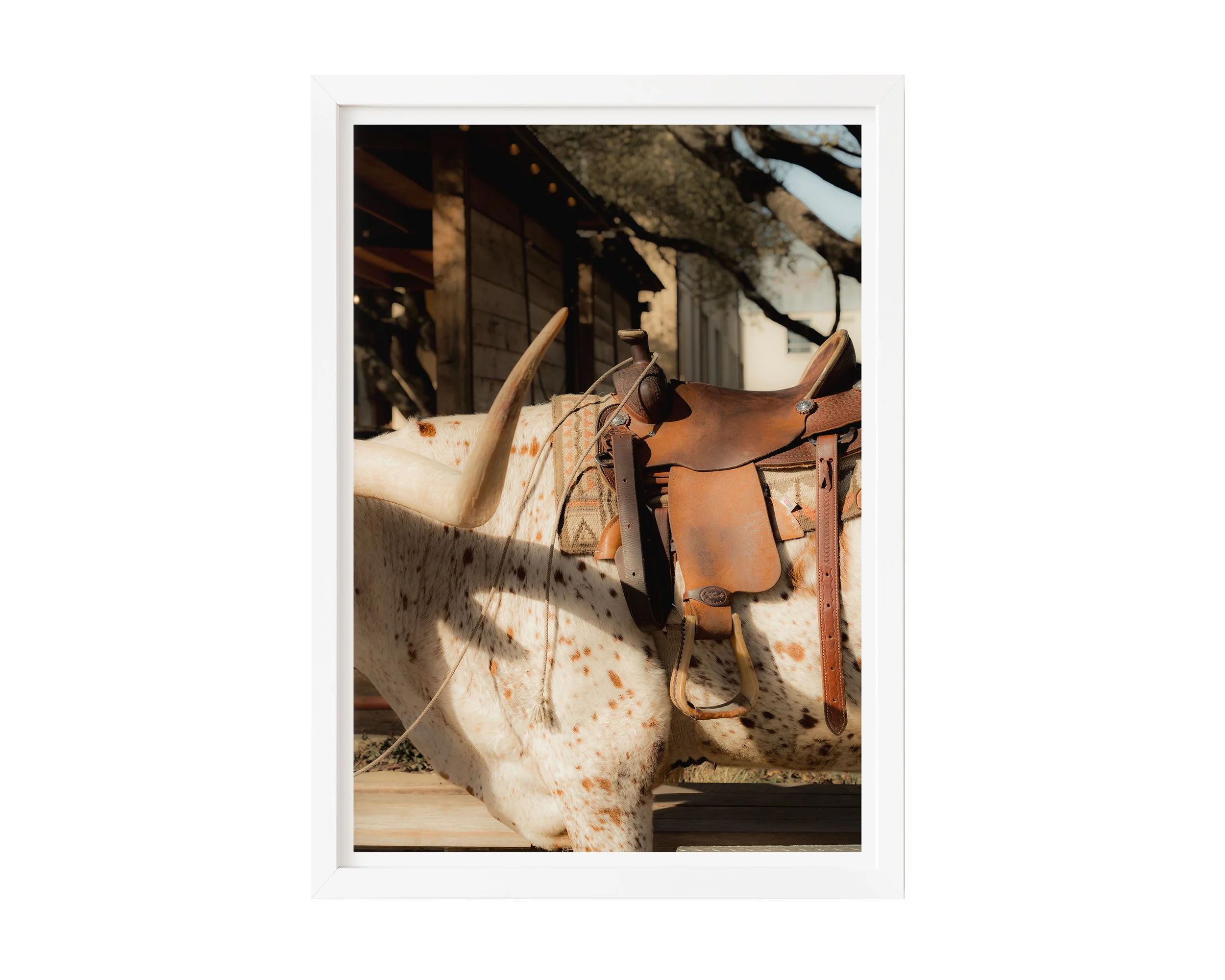 Sundown Saddle