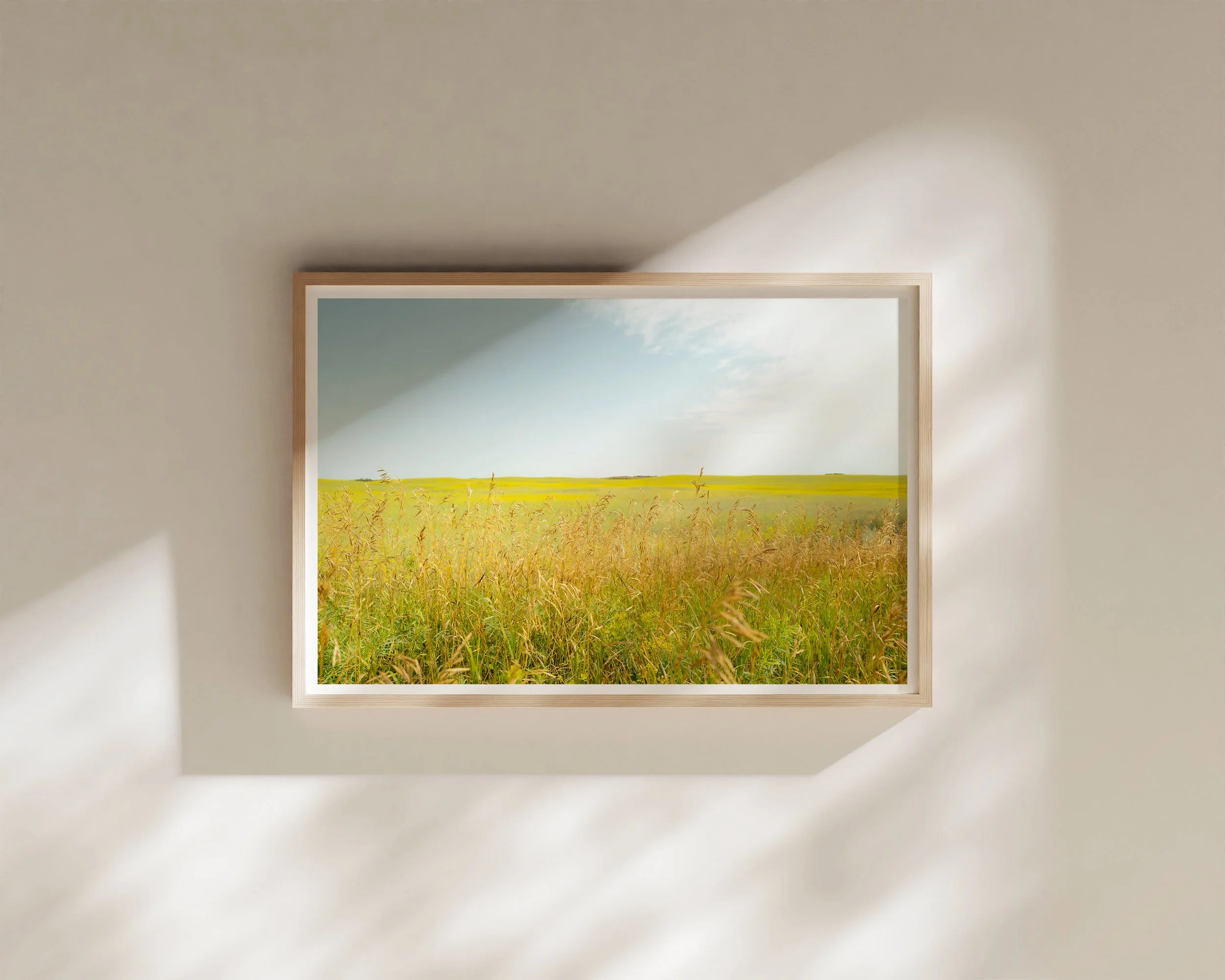 Fine art landscape photograph of tall prairie grasses and rolling golden fields beneath a soft blue sky.