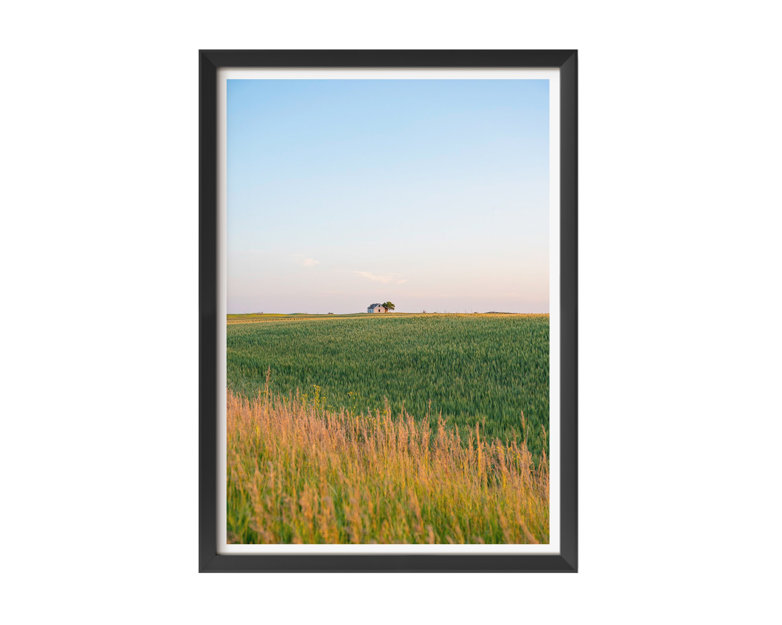 Fine art landscape photograph of an abandoned farmhouse on a green wheat field at sunset. Captures the peaceful beauty of rural Canada scenery—ideal for nature-inspired wall art or country home decor.