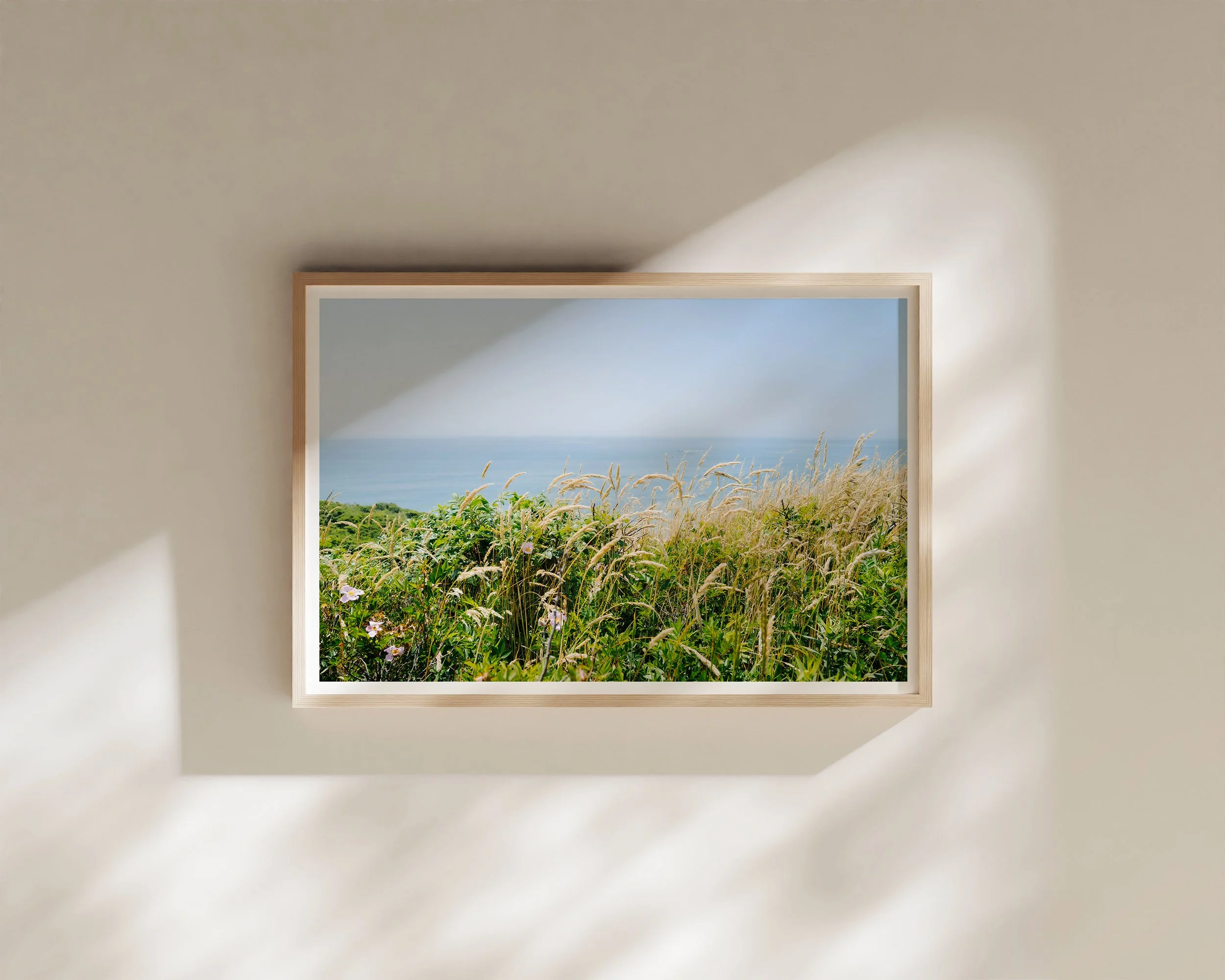 Salt & Honey Print Martha’s Vineyard Coastal Grasses