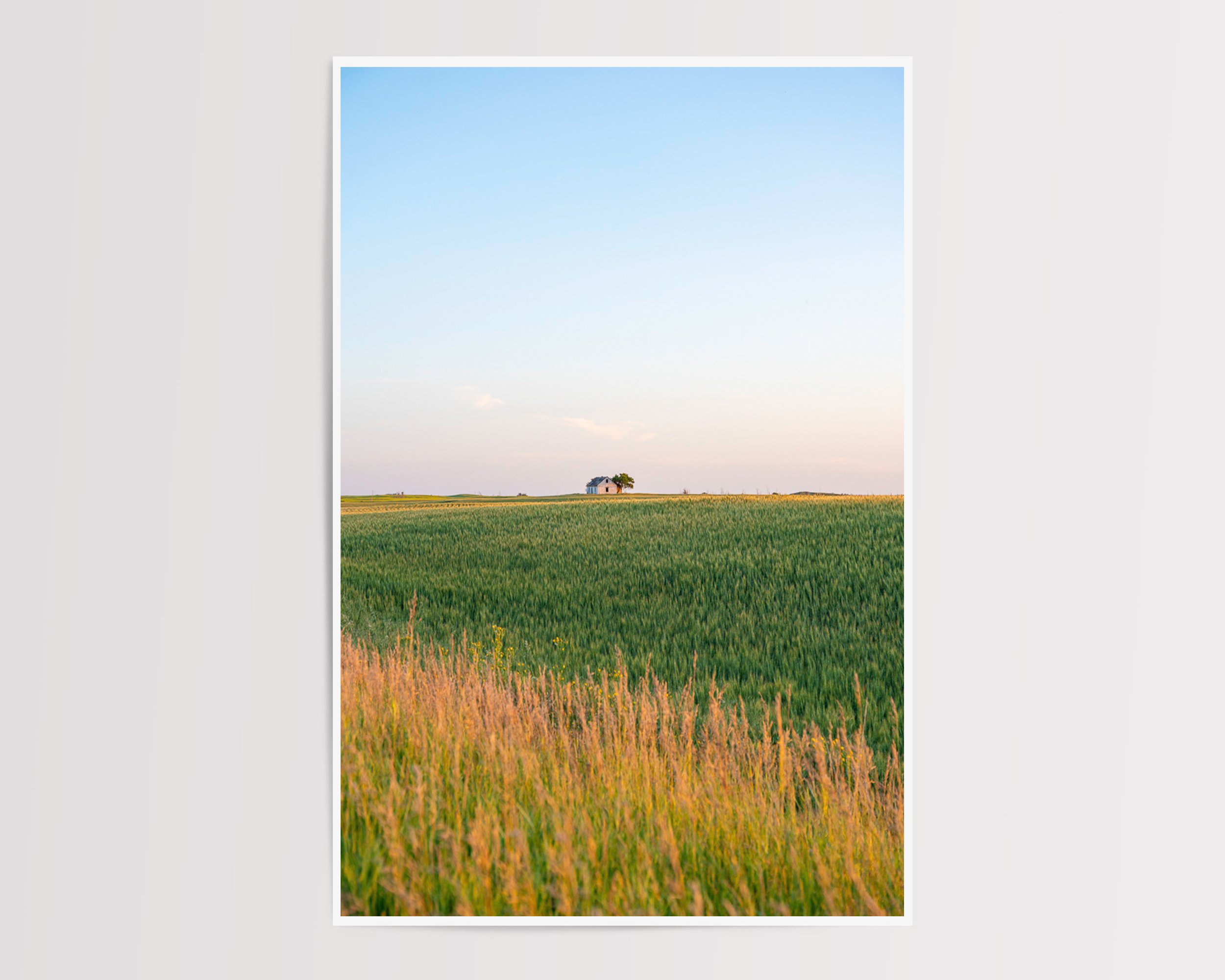 Fine art landscape photograph of an abandoned farmhouse on a green wheat field at sunset. Captures the peaceful beauty of rural Canada scenery—ideal for nature-inspired wall art or country home decor.