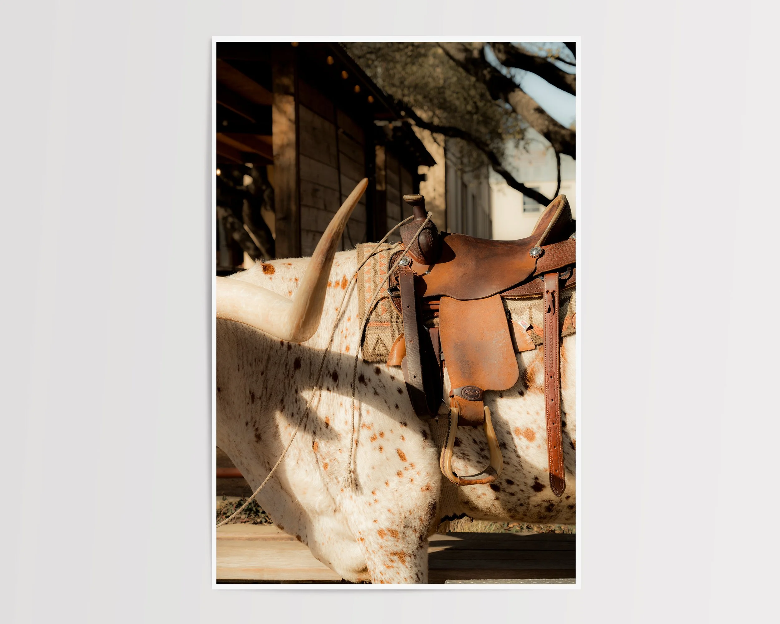 Sundown Saddle - no frame.jpg