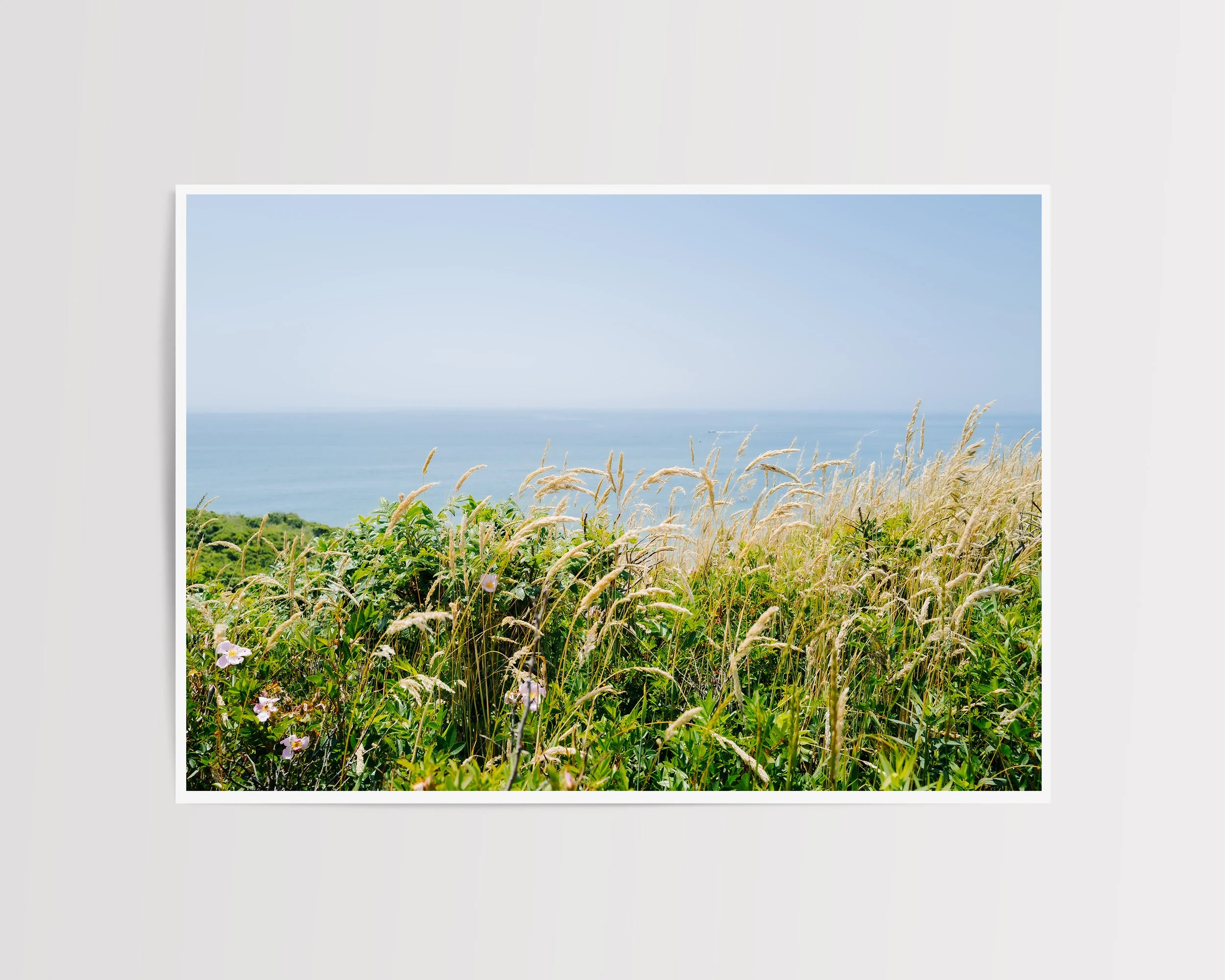 Salt & Honey Print Martha’s Vineyard Coastal Grasses