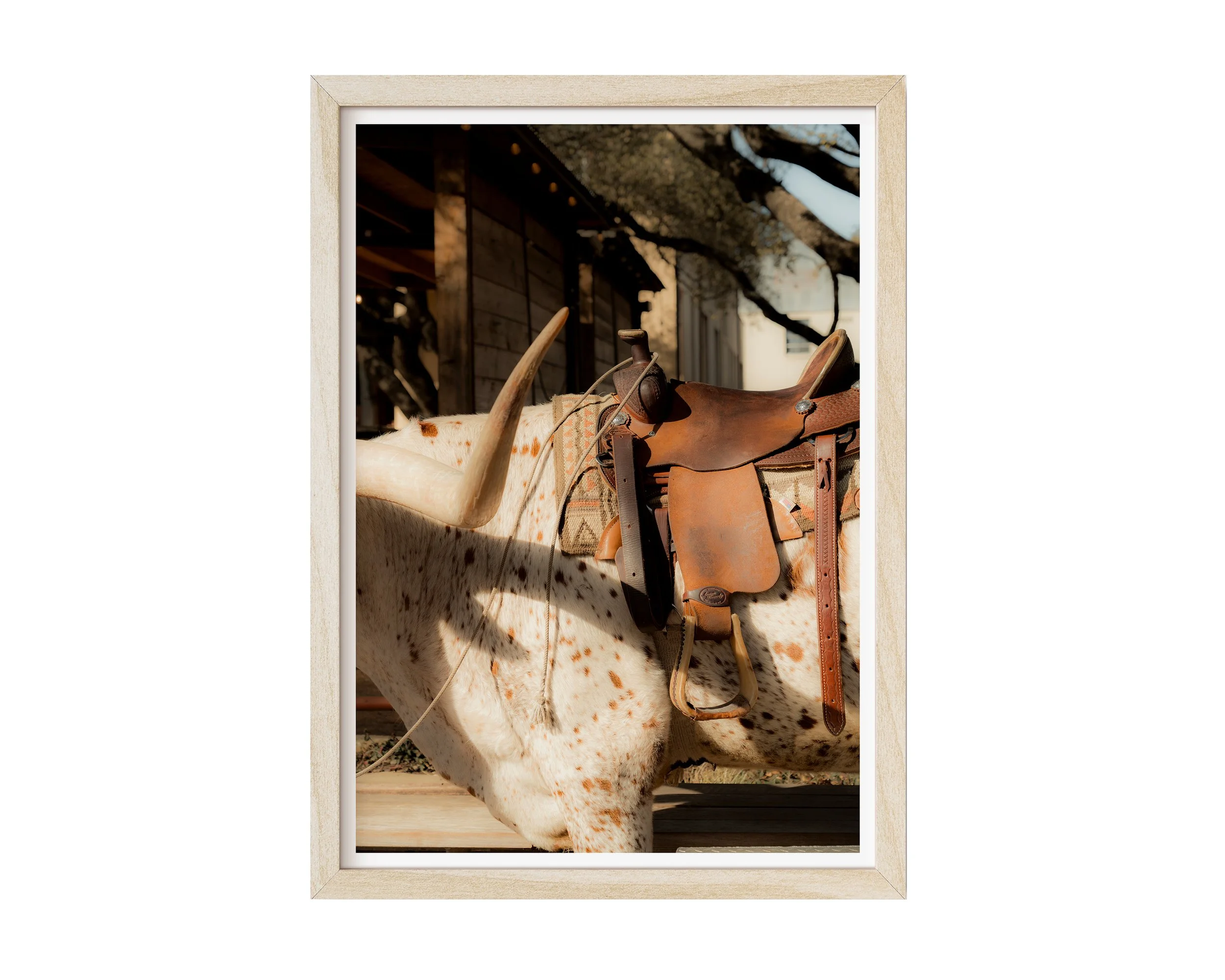 Sundown Saddle - natural frame.jpg